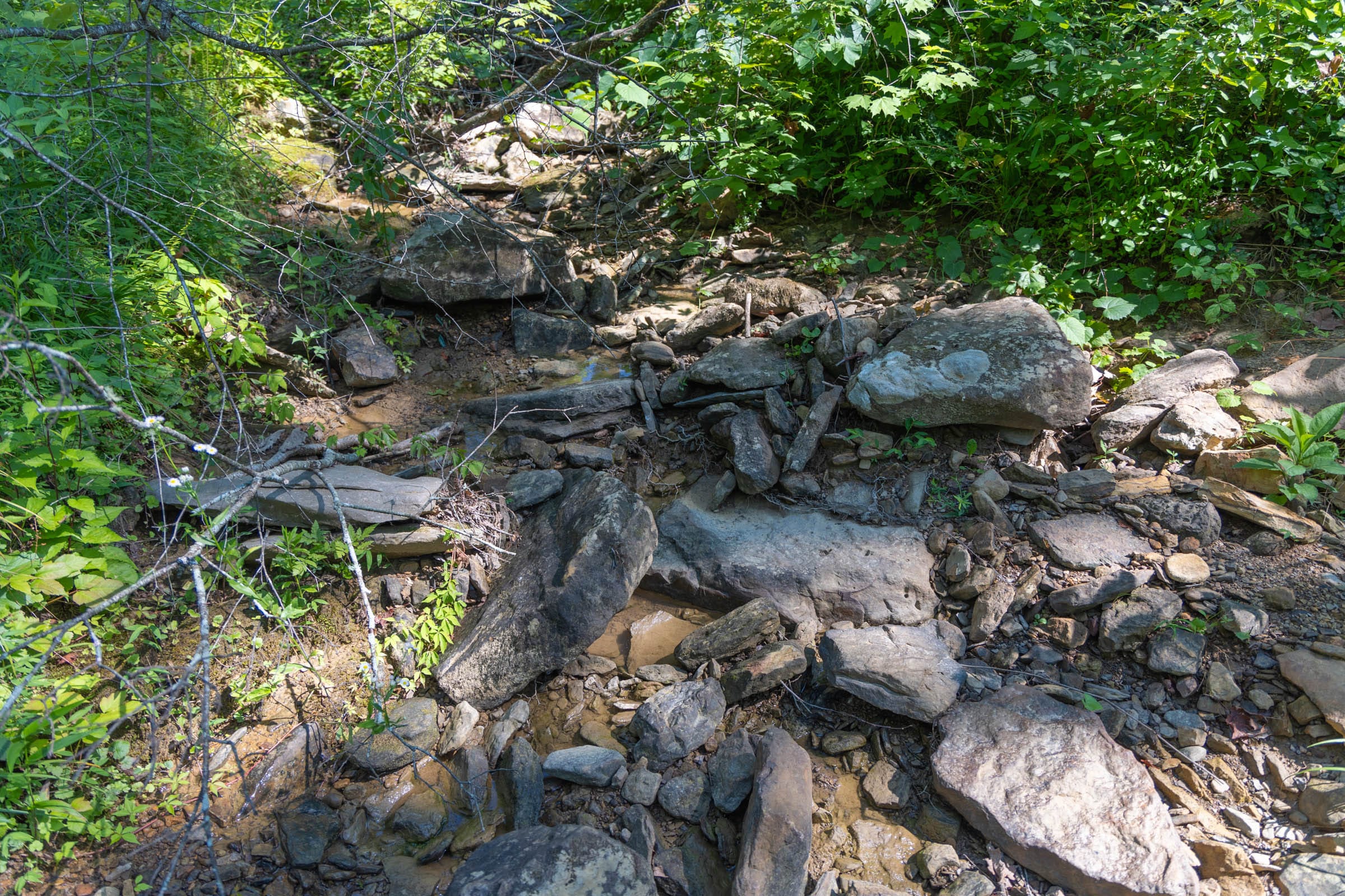 Creek Hollow Phase II Tract 77 photo 9