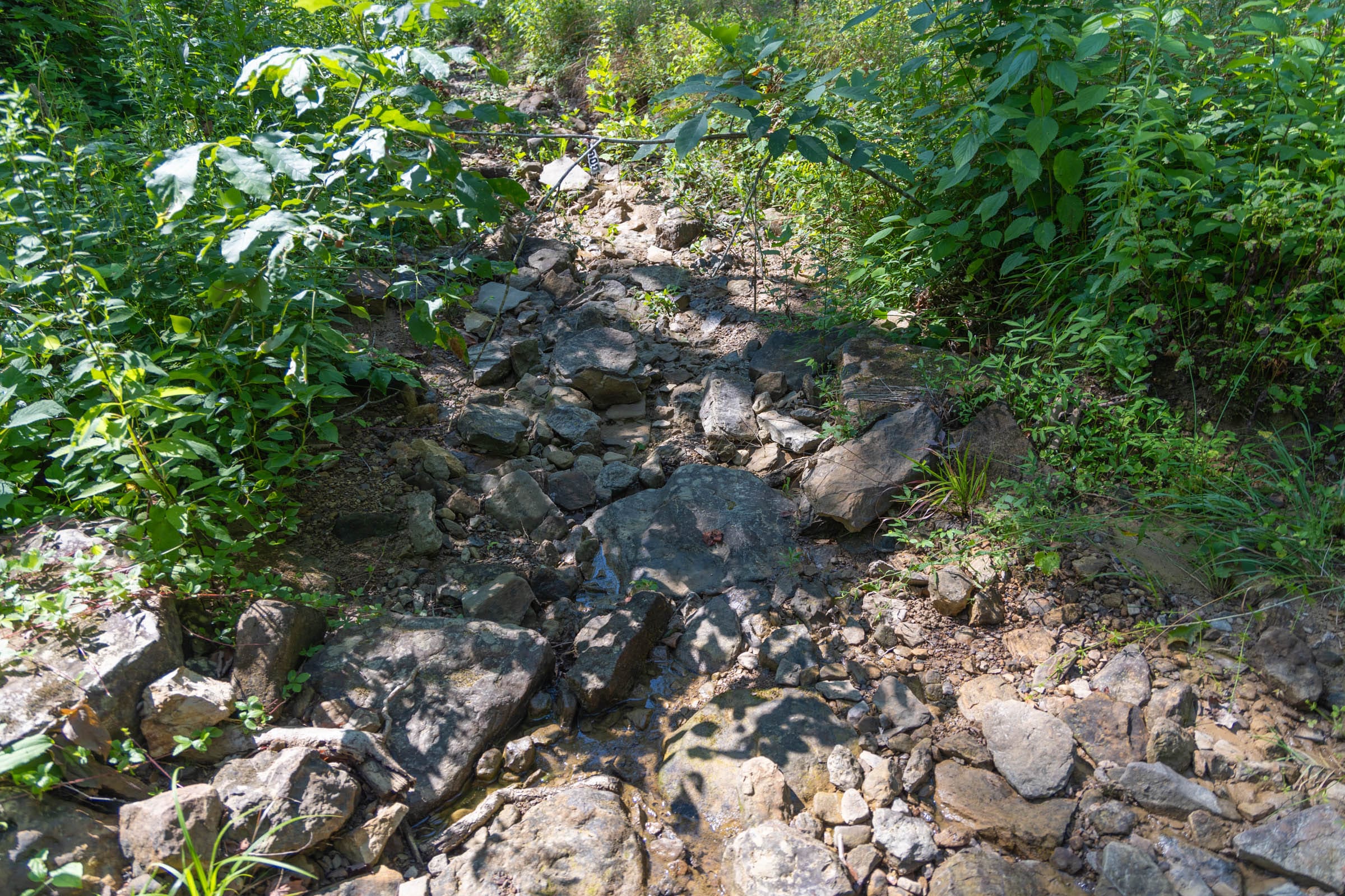 Creek Hollow Phase II Tract 77 photo 1
