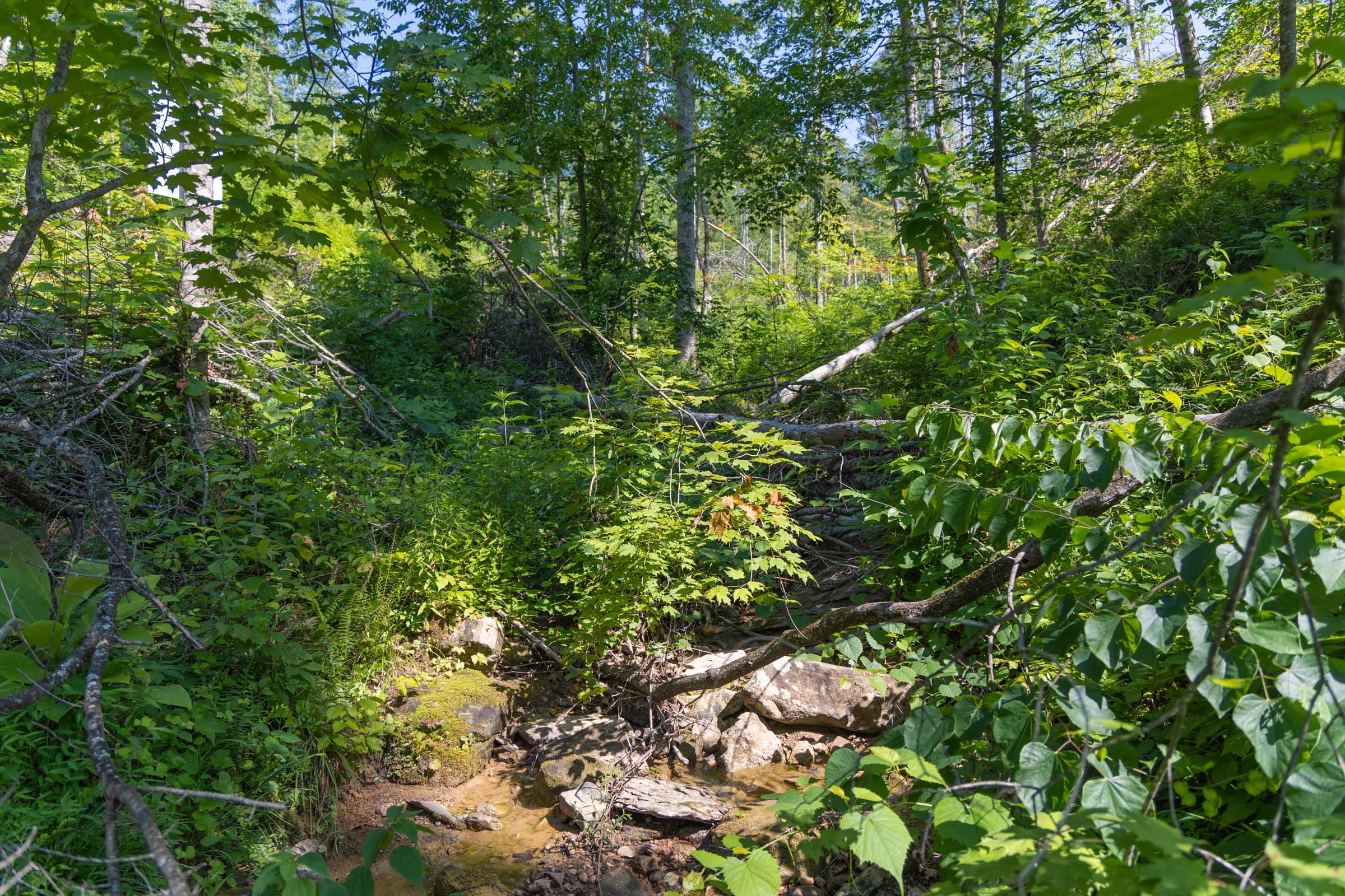 Creek Hollow Phase II Tract 77 photo 8