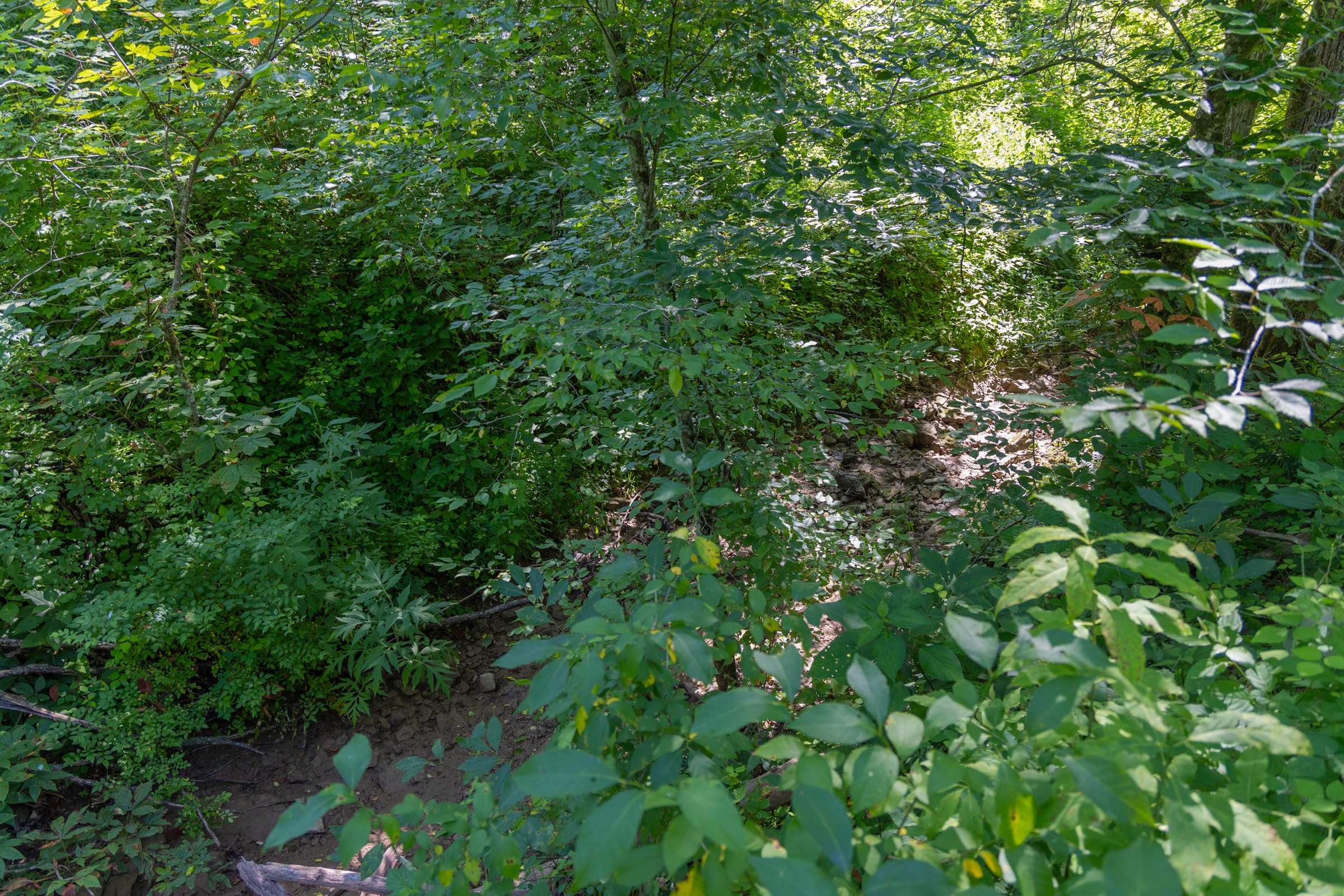 Creek Hollow Phase II Tract 77 photo 7