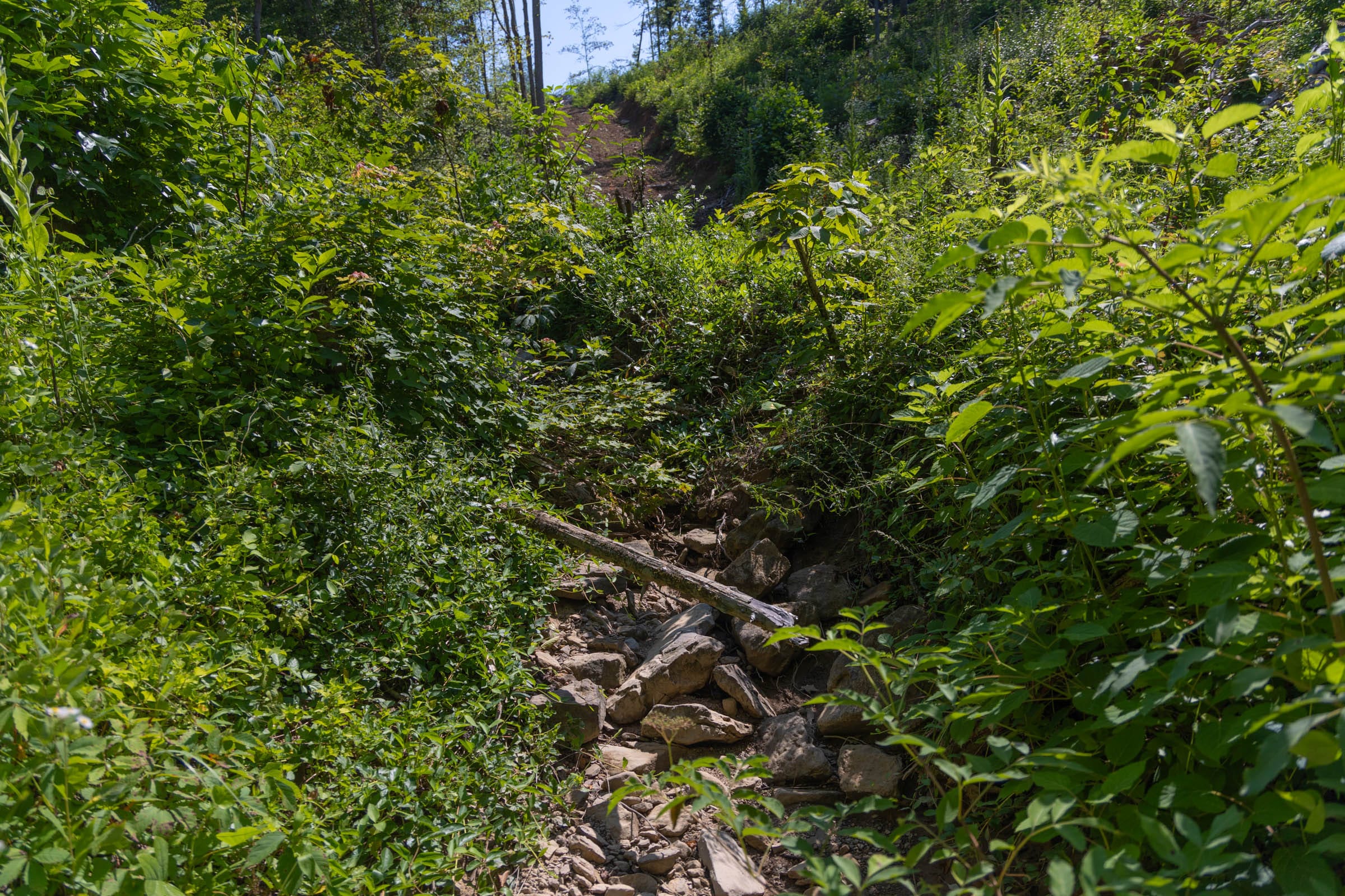 Creek Hollow Phase II Tract 77 photo 6