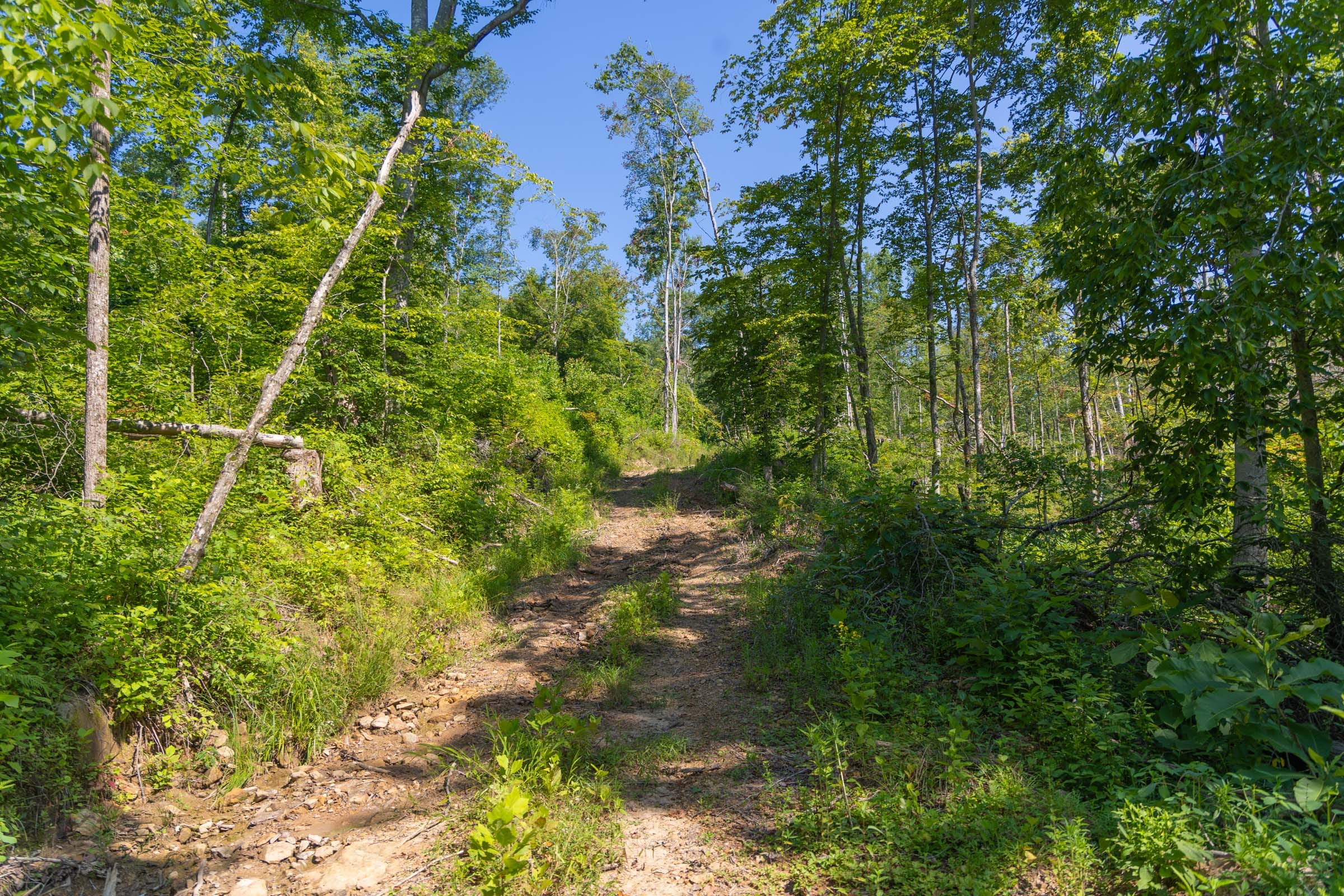 Creek Hollow Phase II Tract 77 photo 5