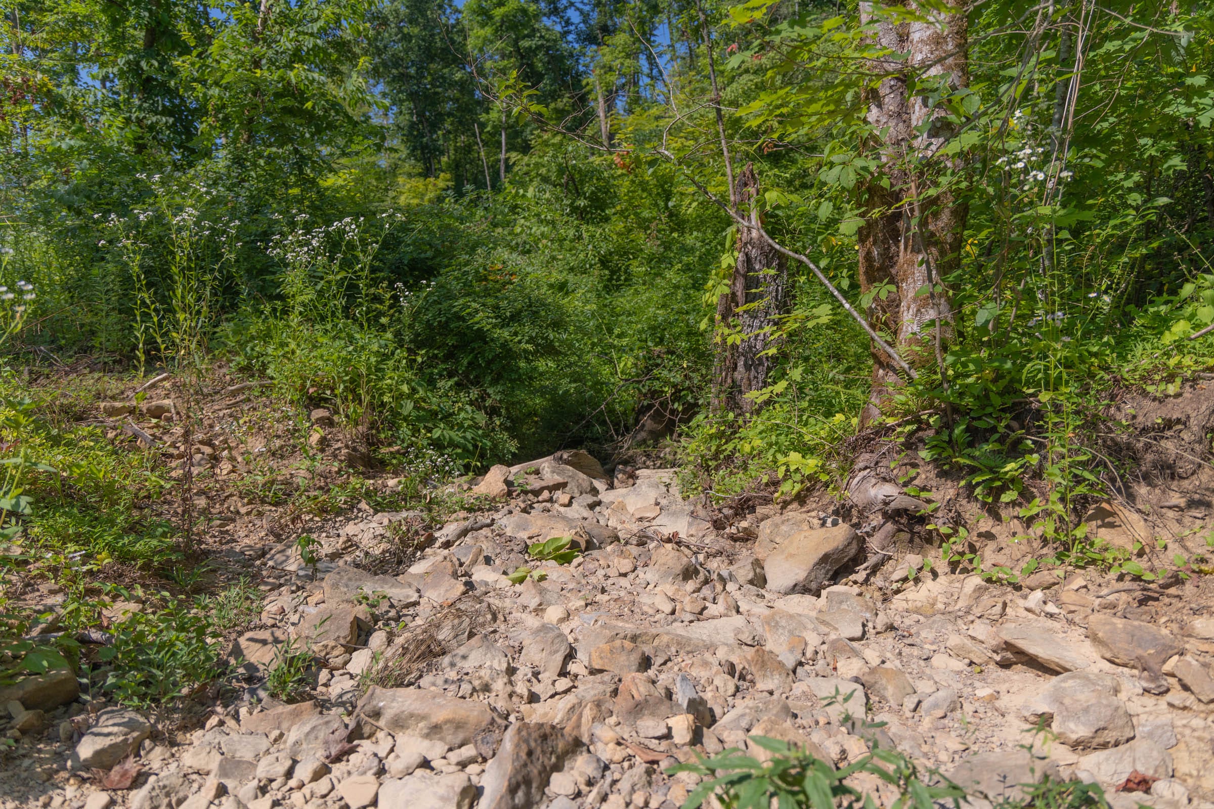 Creek Hollow Phase II Tract 77 photo 3