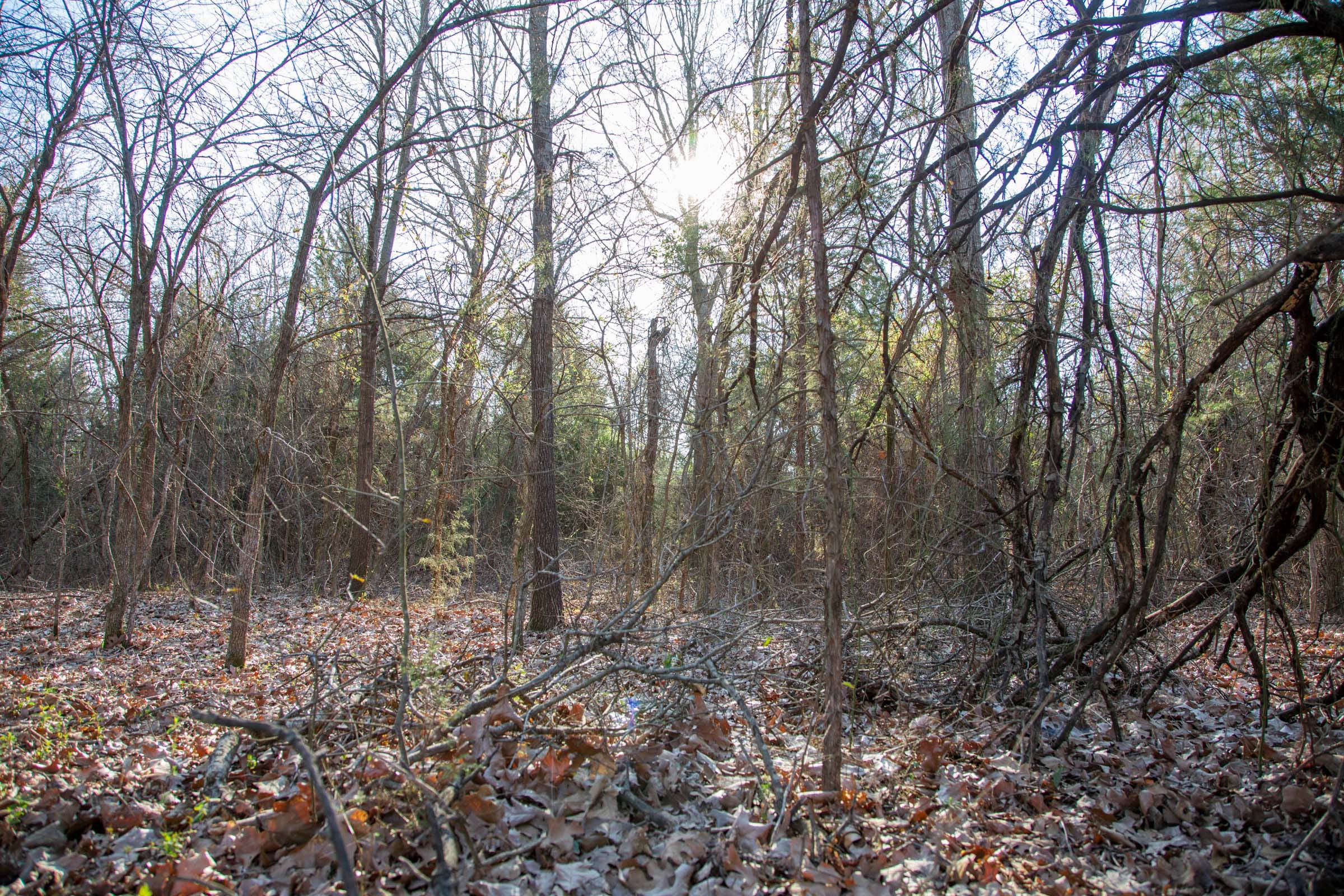 Eufaula Cove Tract 23 photo 5