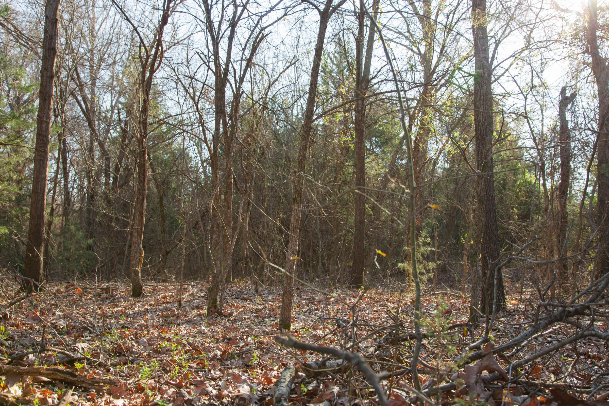 Eufaula Cove Tract 23 photo 6