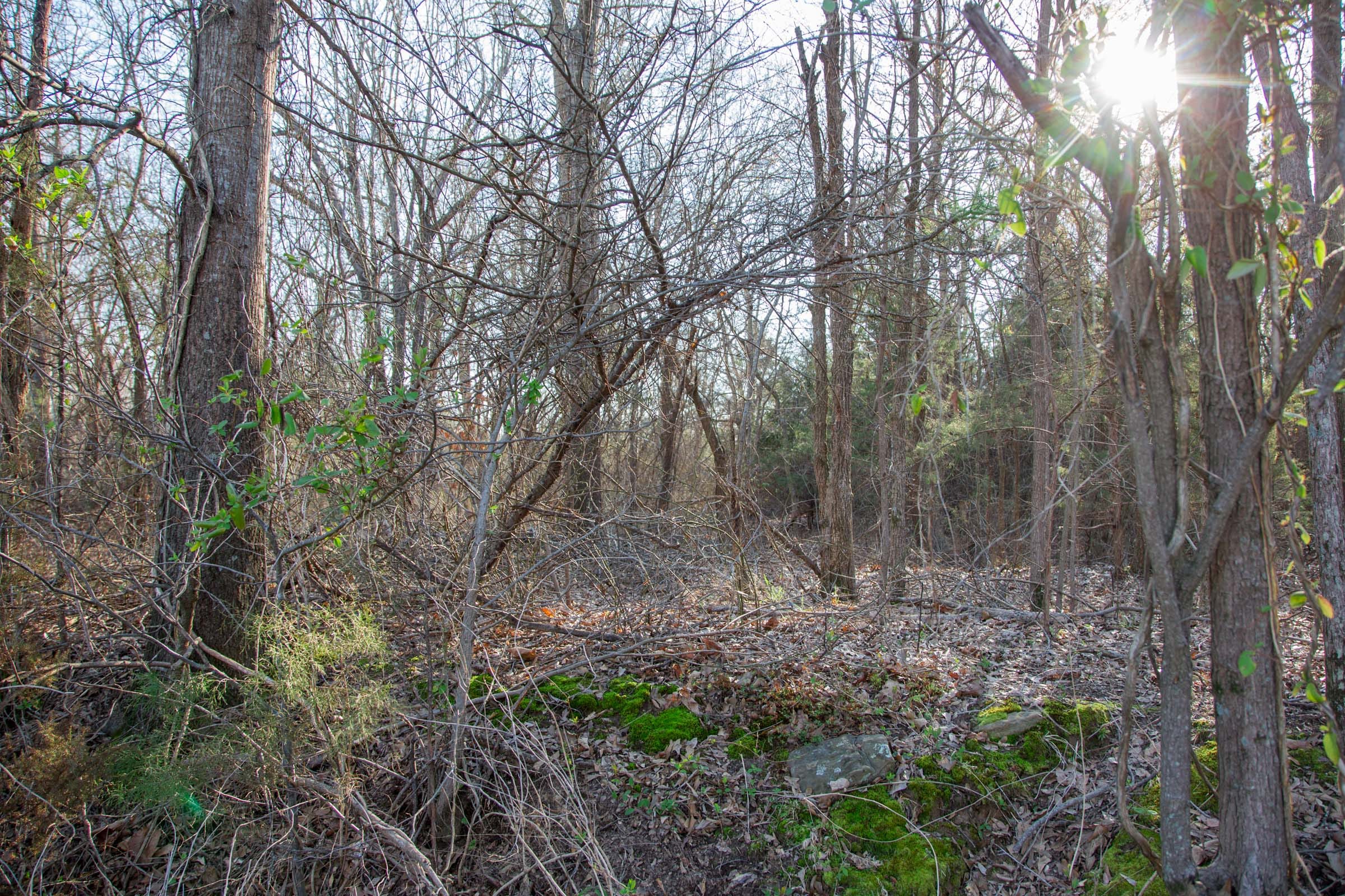 Eufaula Cove Tract 23 photo 8