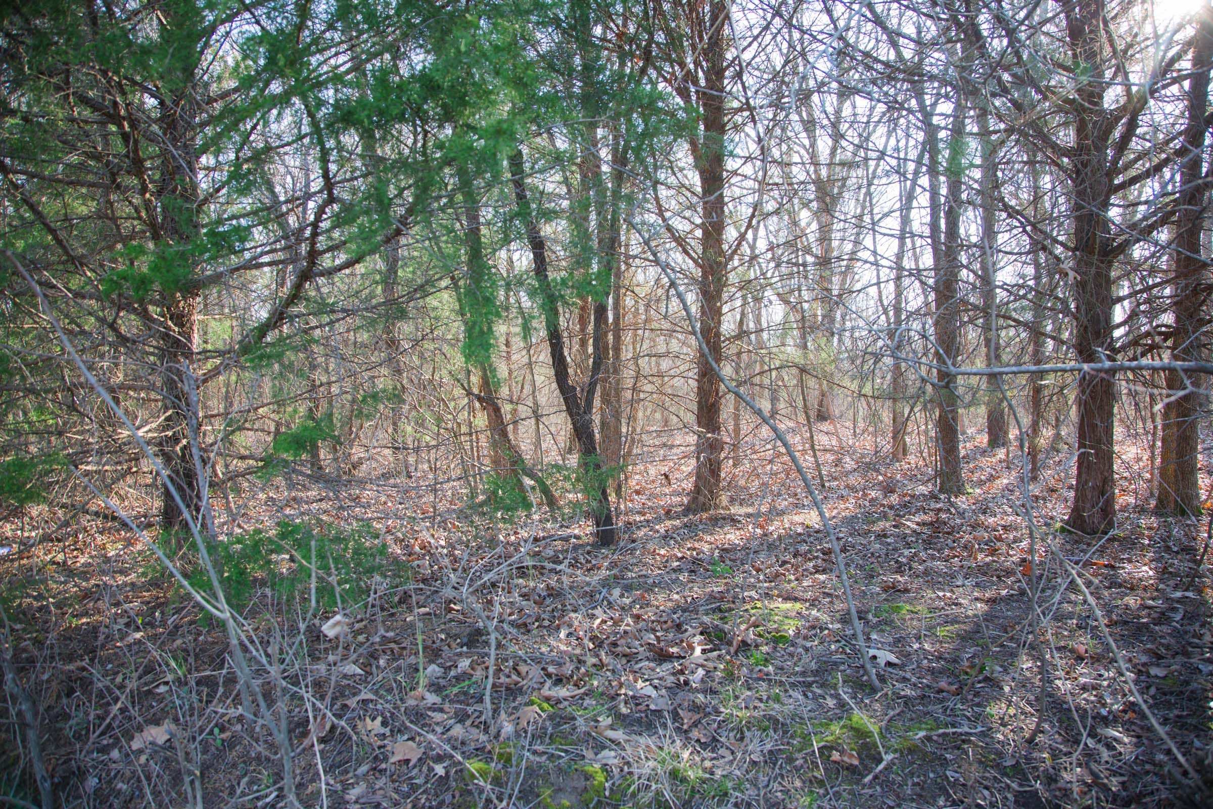 Eufaula Cove Tract 23 photo 11