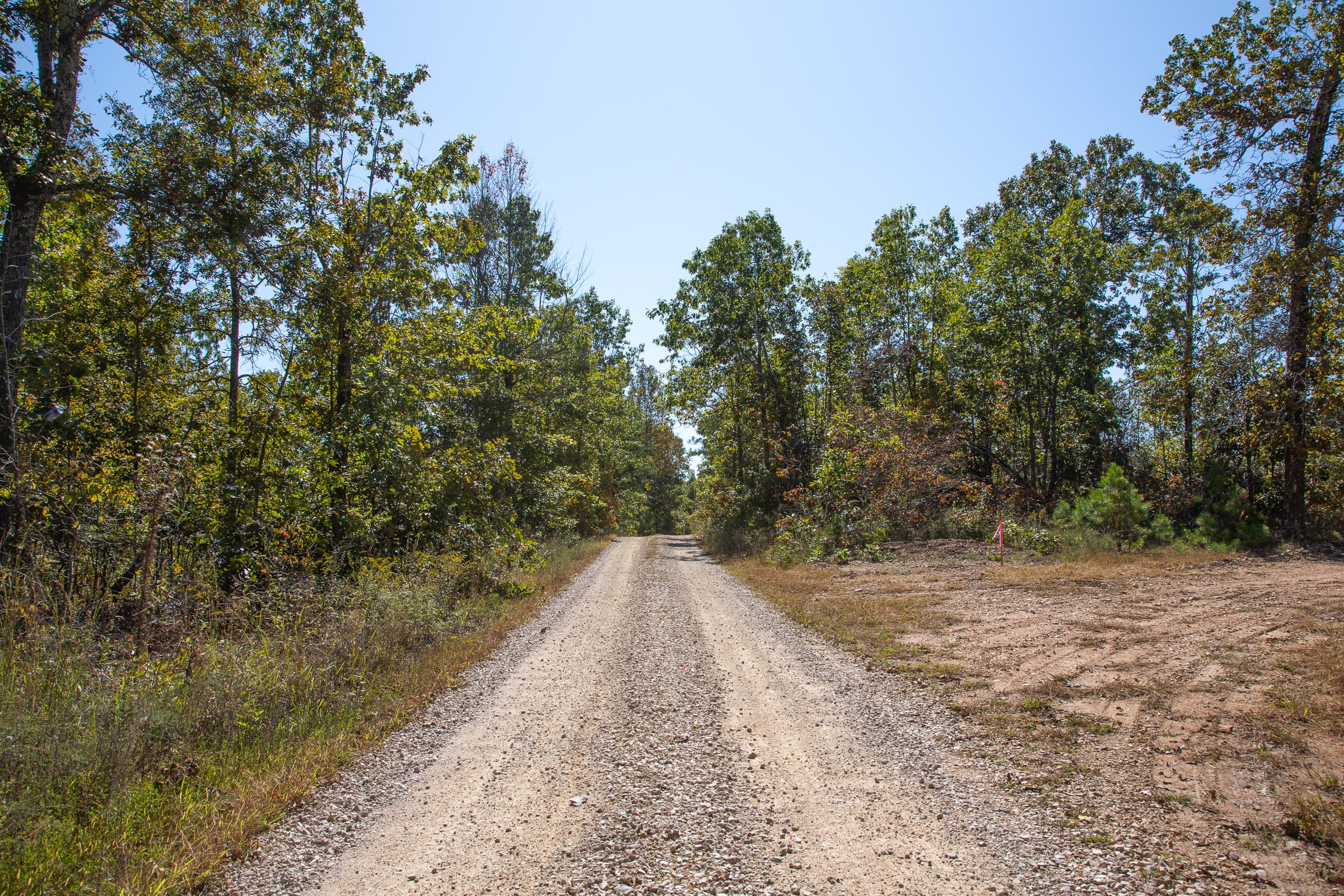 Borgmann’s Hollow Phase III Tract 91 photo 1