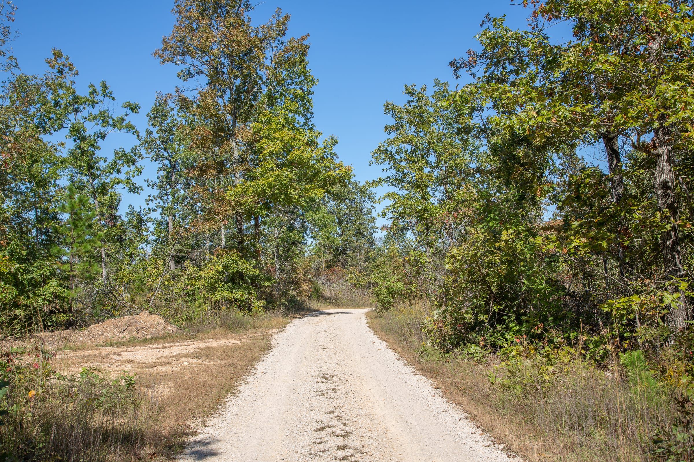 Borgmann’s Hollow Phase III Tract 91 photo 7