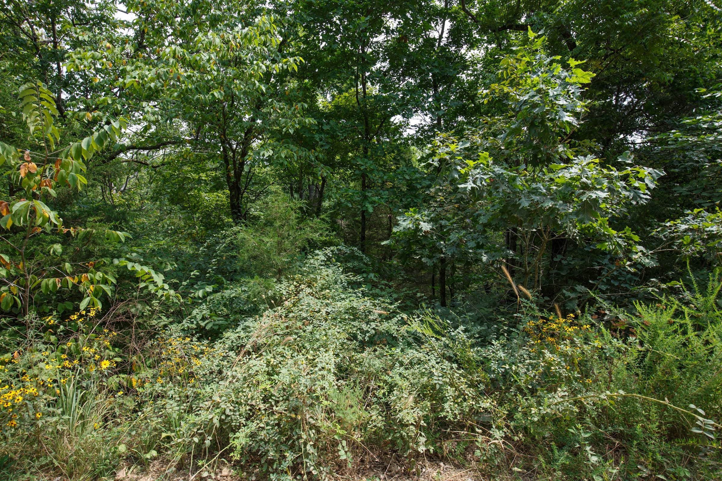 Spring Lake Plat 6 Tract 108 photo 4