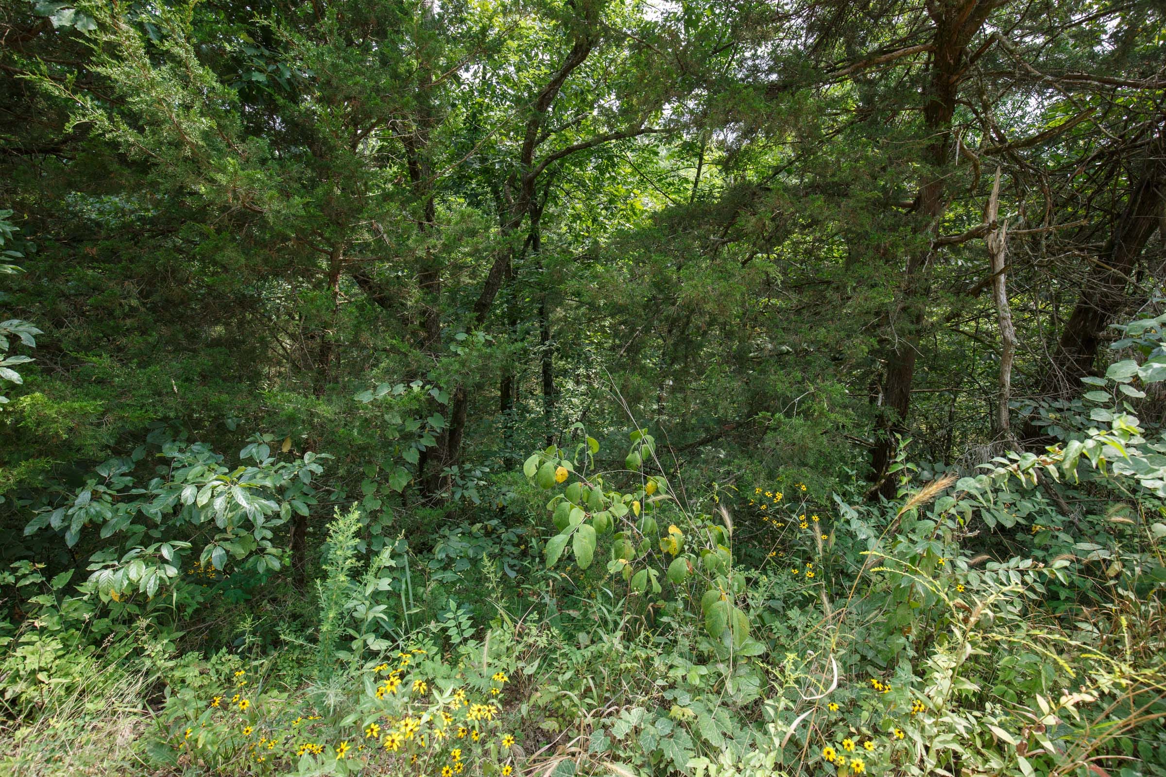 Spring Lake Plat 6 Tract 108 photo 6