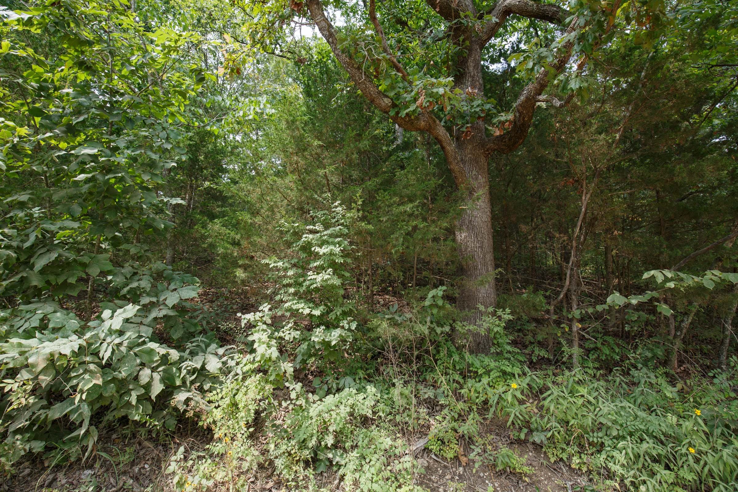 Spring Lake Plat 6 Tract 108 photo 8