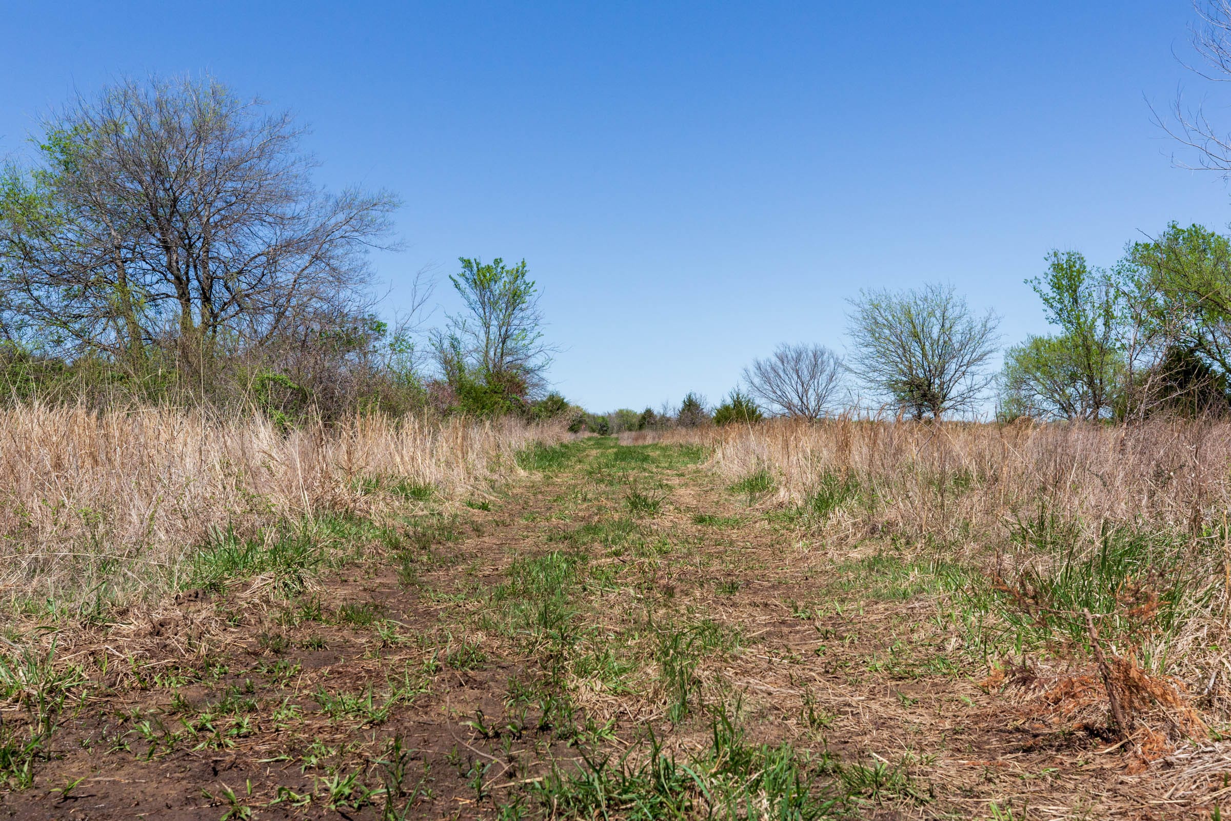 Prairie Grove Tract 22 photo 1