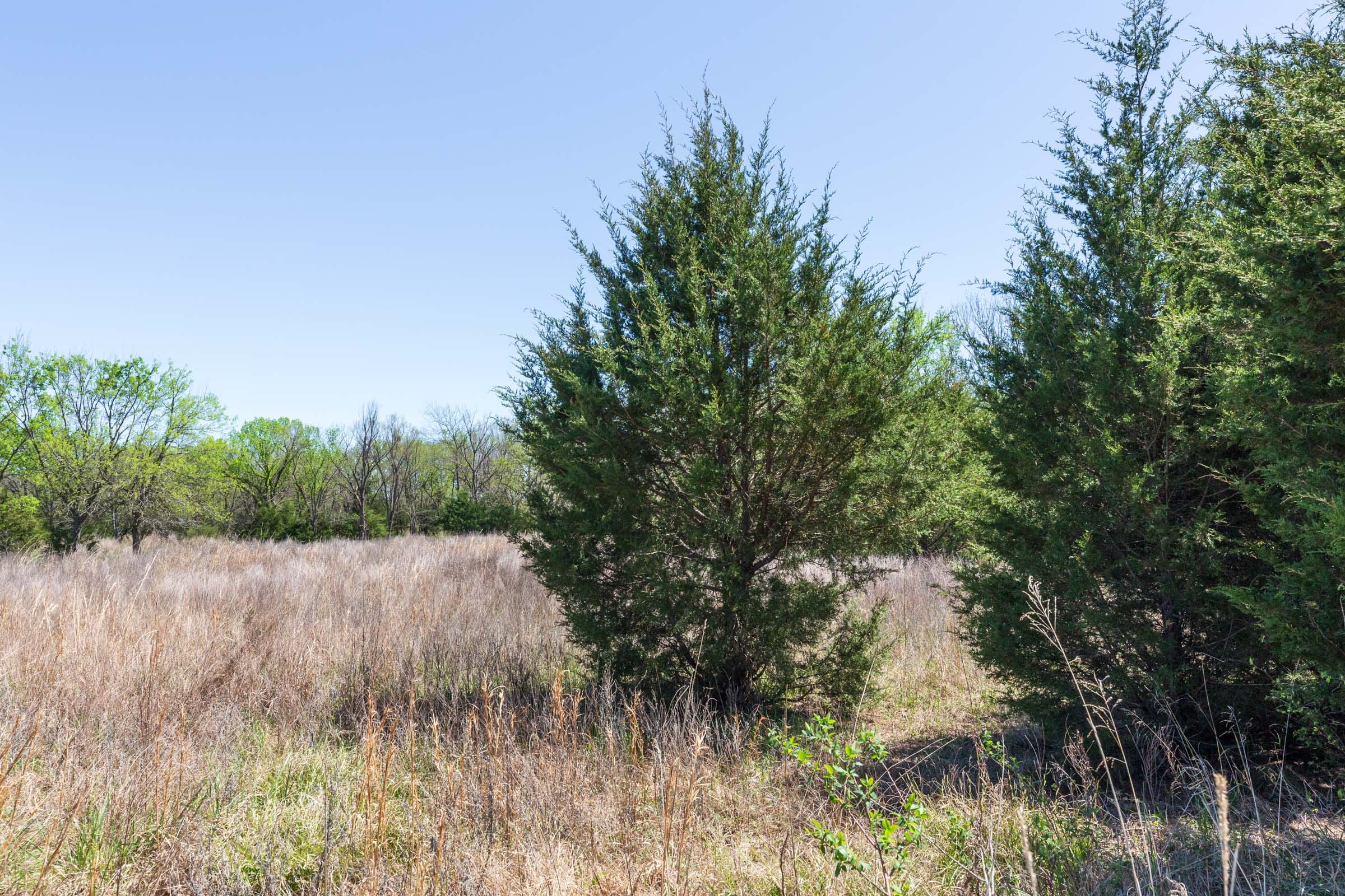 Prairie Grove Tract 22 photo 2