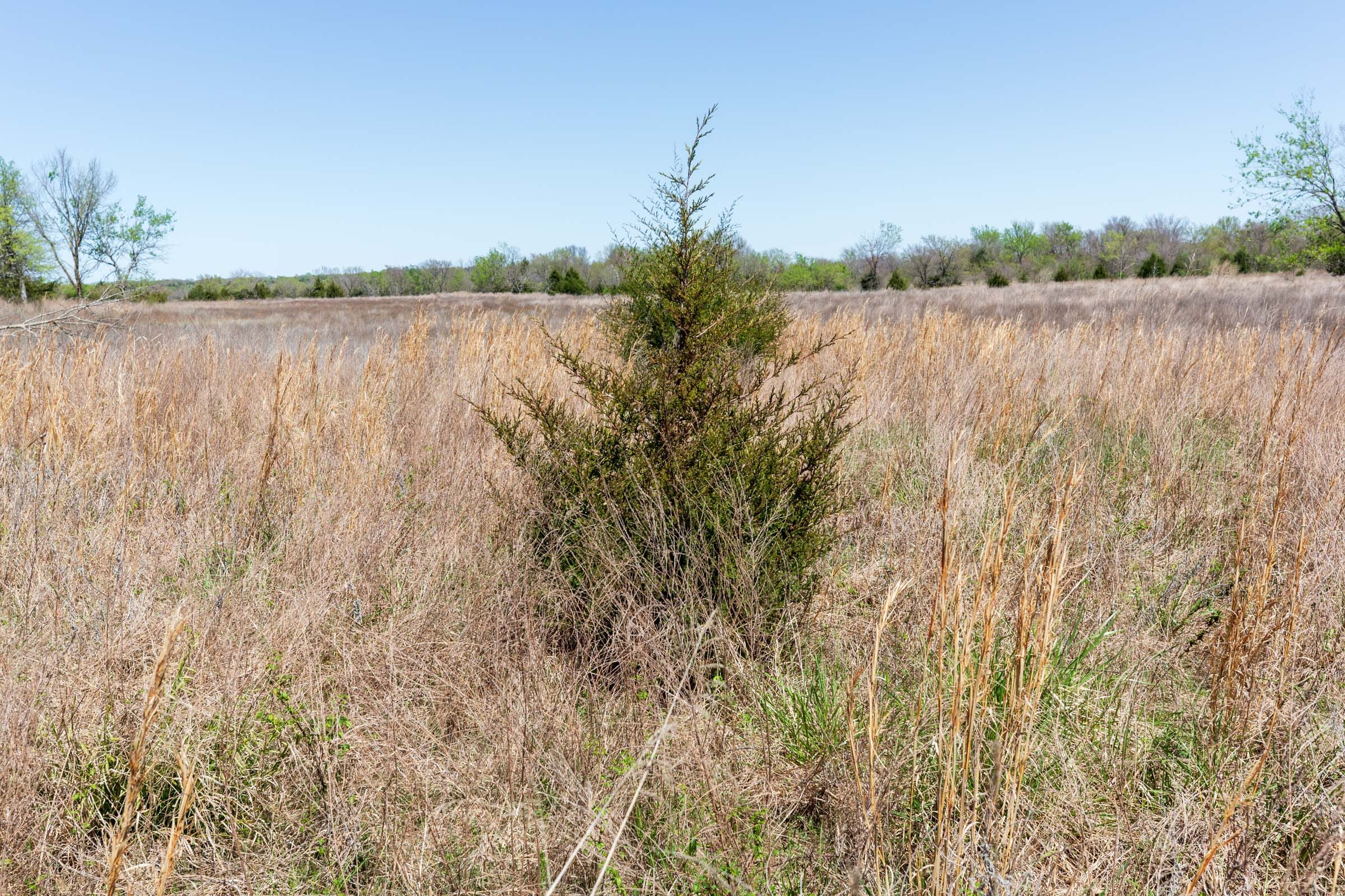 Prairie Grove Tract 22 photo 6
