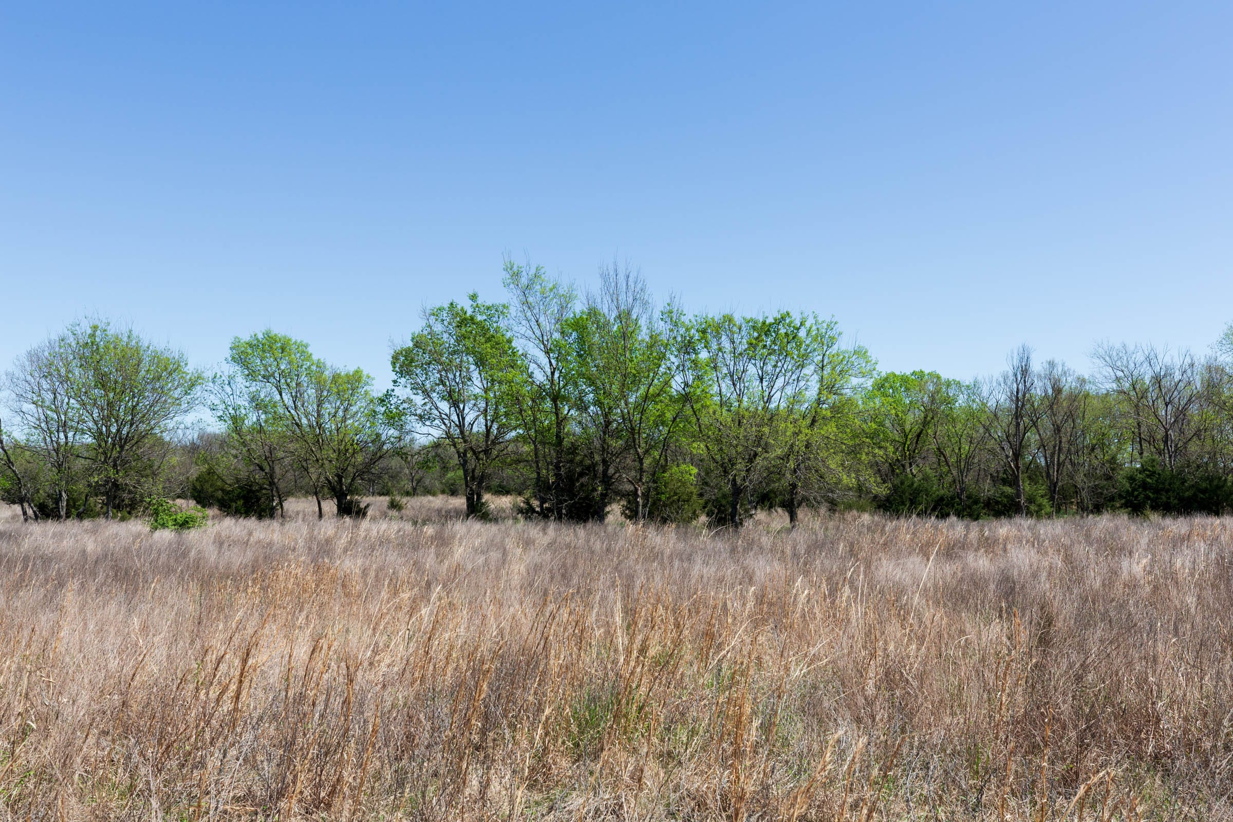 Prairie Grove Tract 22 photo 3