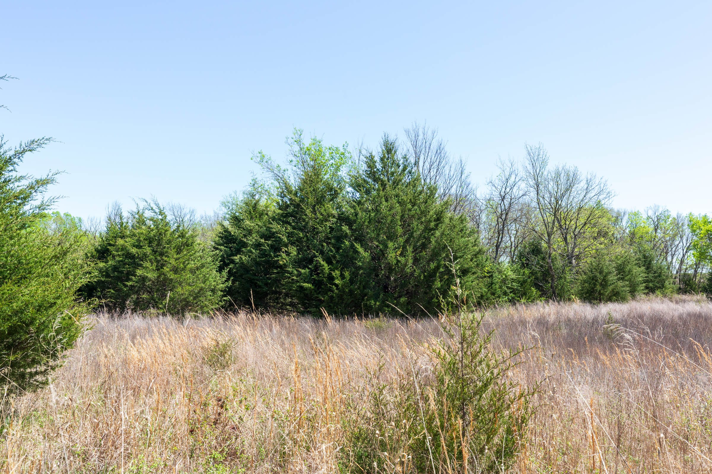 Prairie Grove Tract 22 photo 7