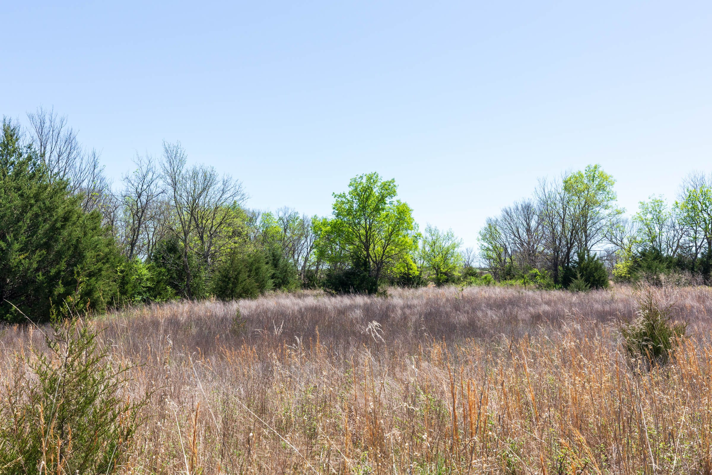 Prairie Grove Tract 22 photo 12