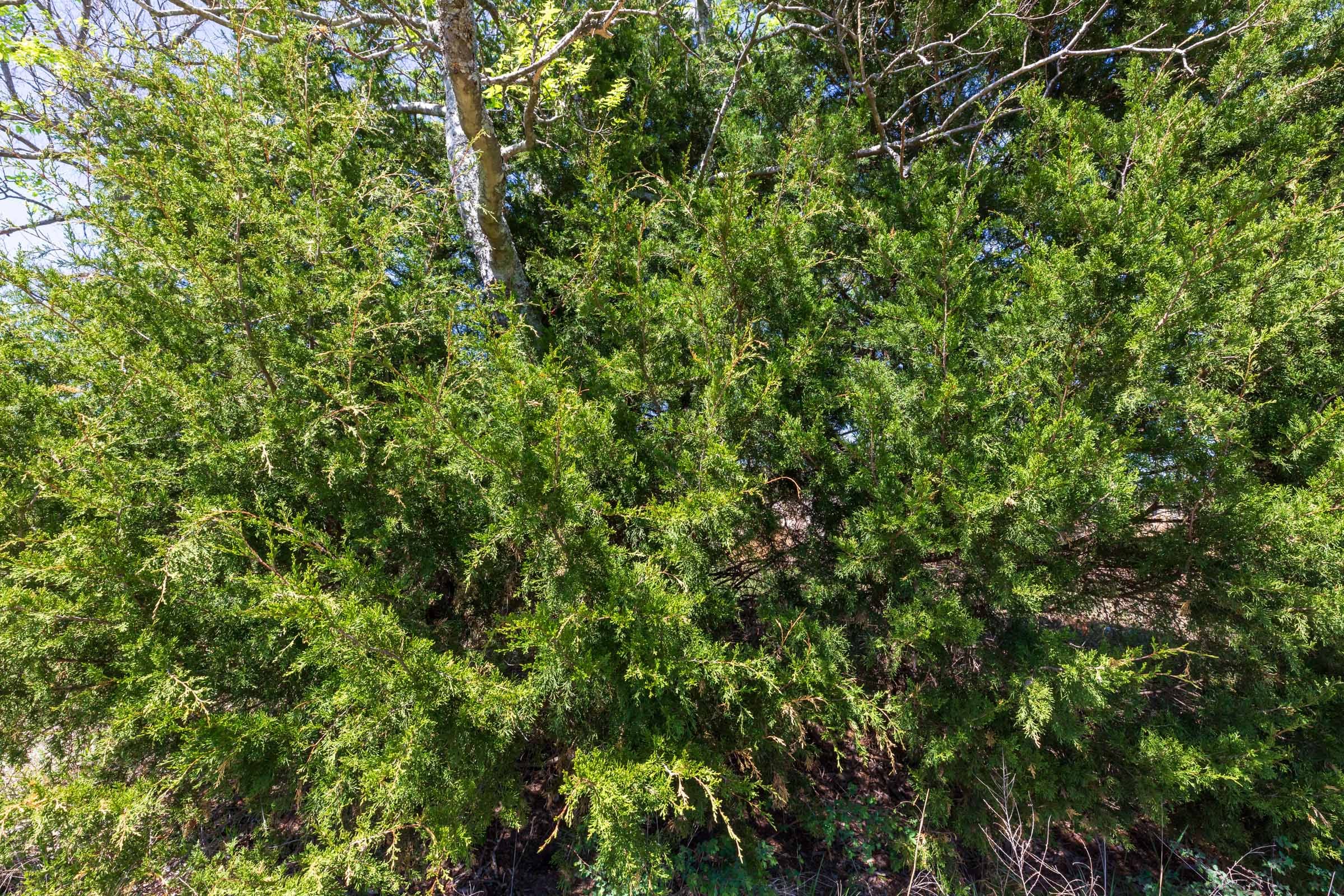Prairie Grove Tract 22 photo 13