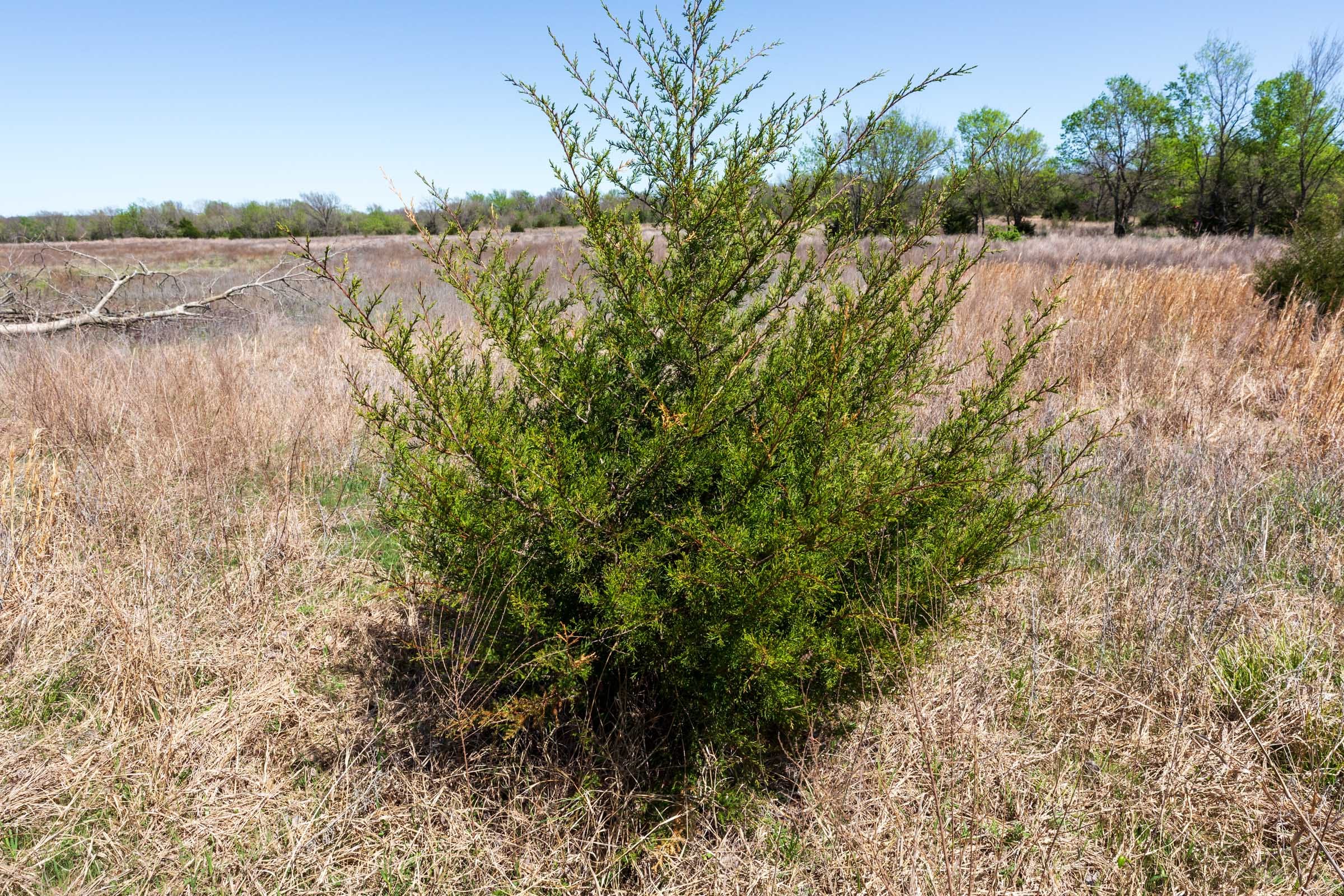 Prairie Grove Tract 22 photo 14