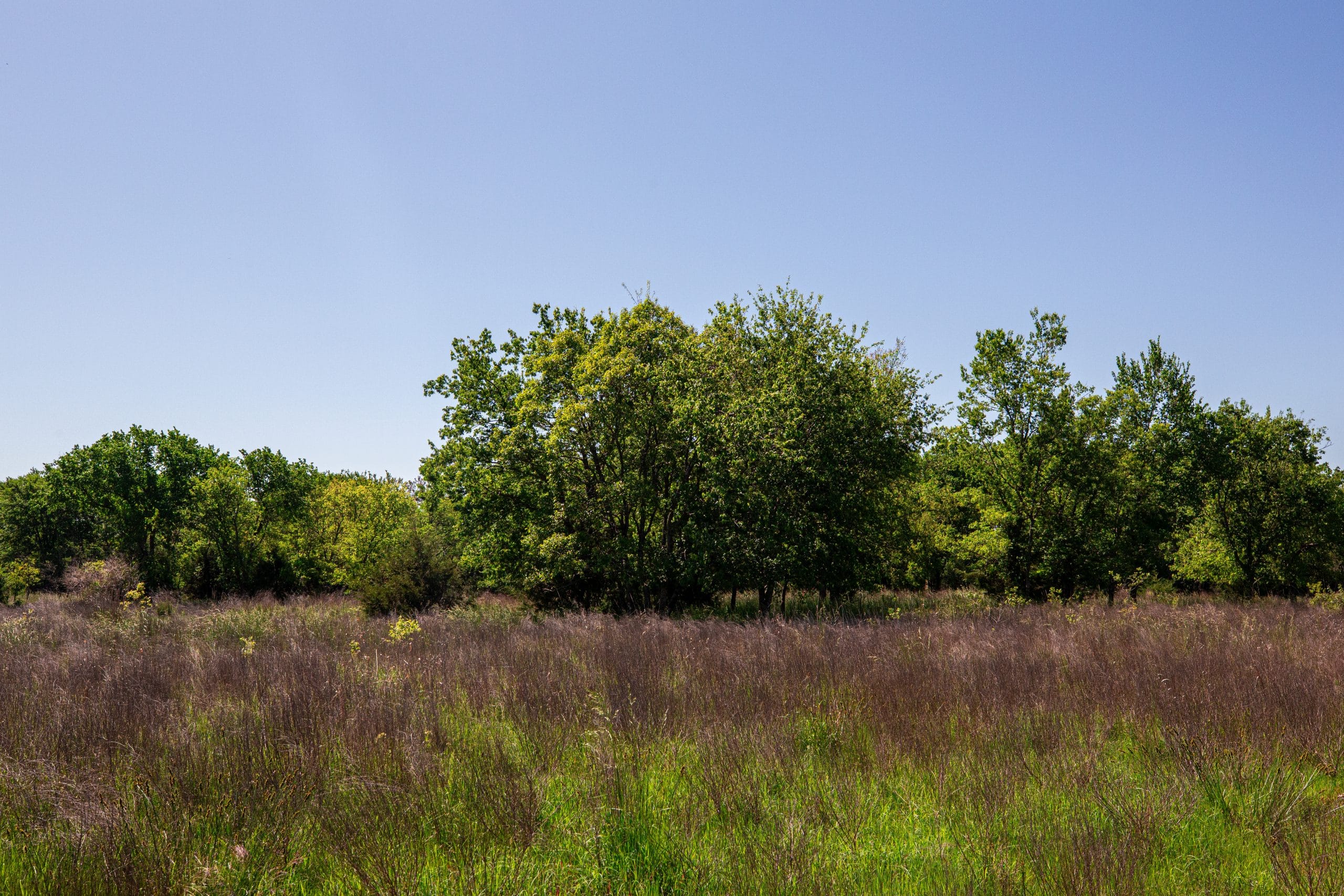 Prairie Grove Tract 22 photo 8