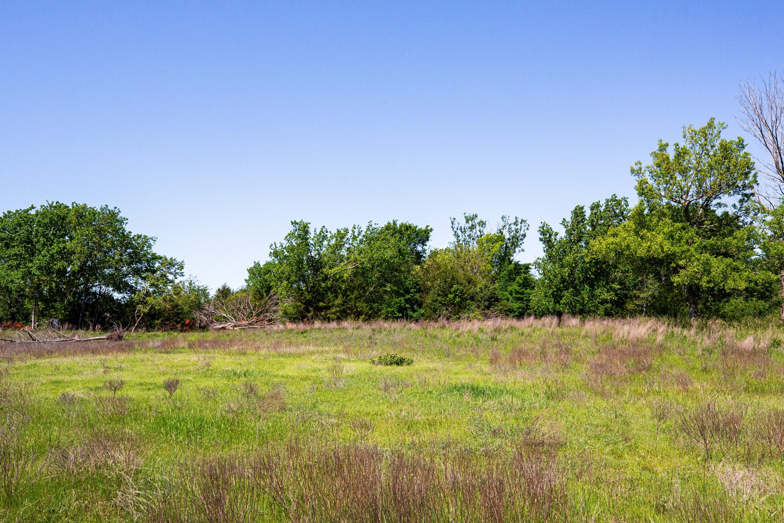 Prairie Grove Tract 22 photo 11