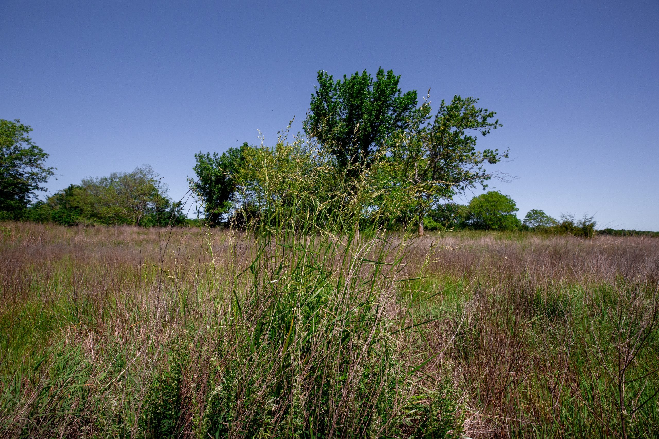 Prairie Grove Tract 22 photo 15