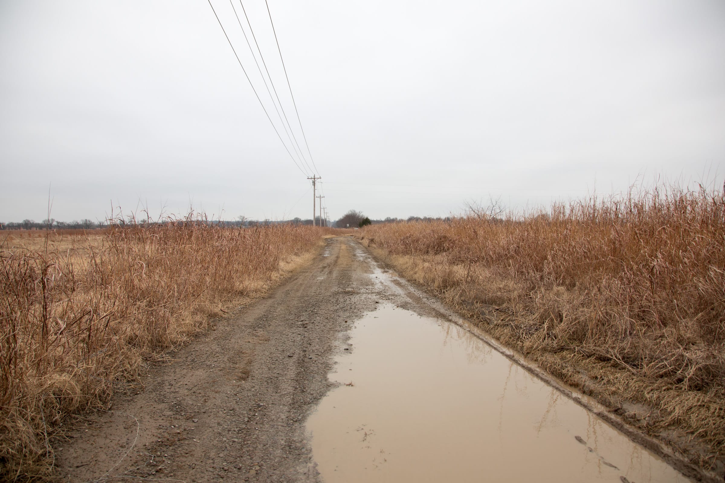 Canadian Plains Tract 36 photo 5