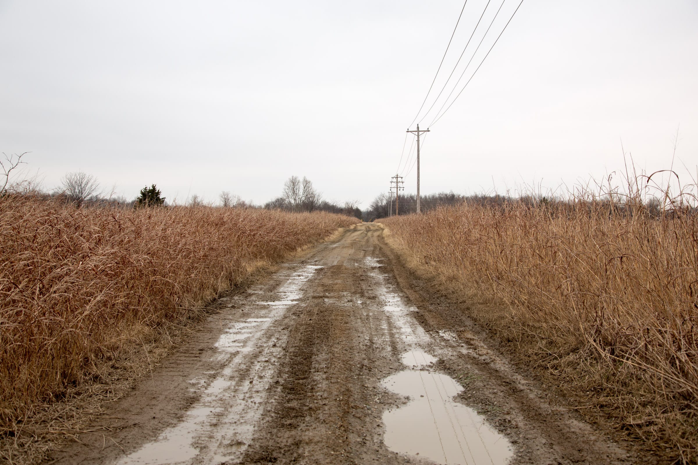 Canadian Plains Tract 36 photo 1