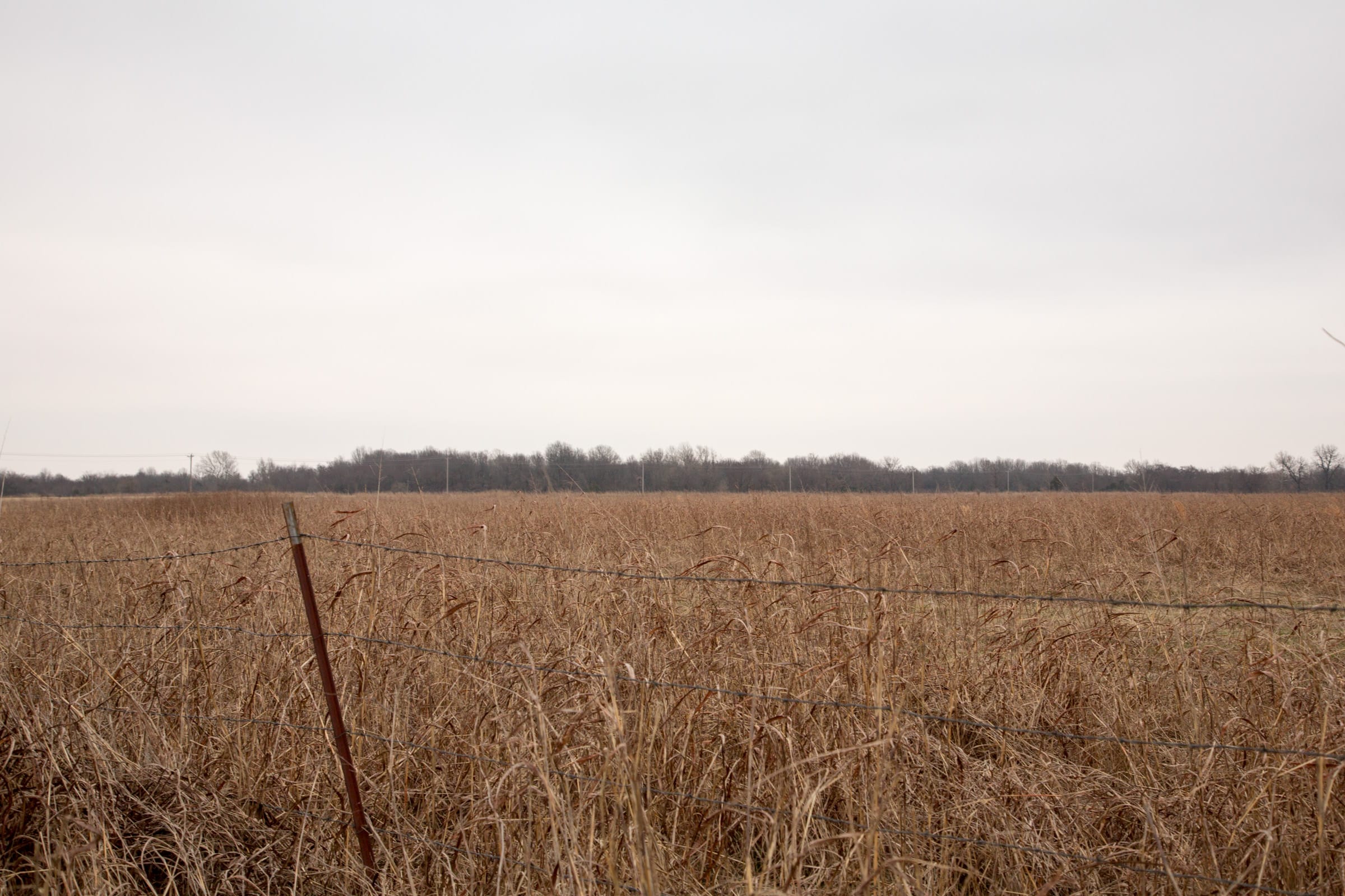 Canadian Plains Tract 36 photo 2