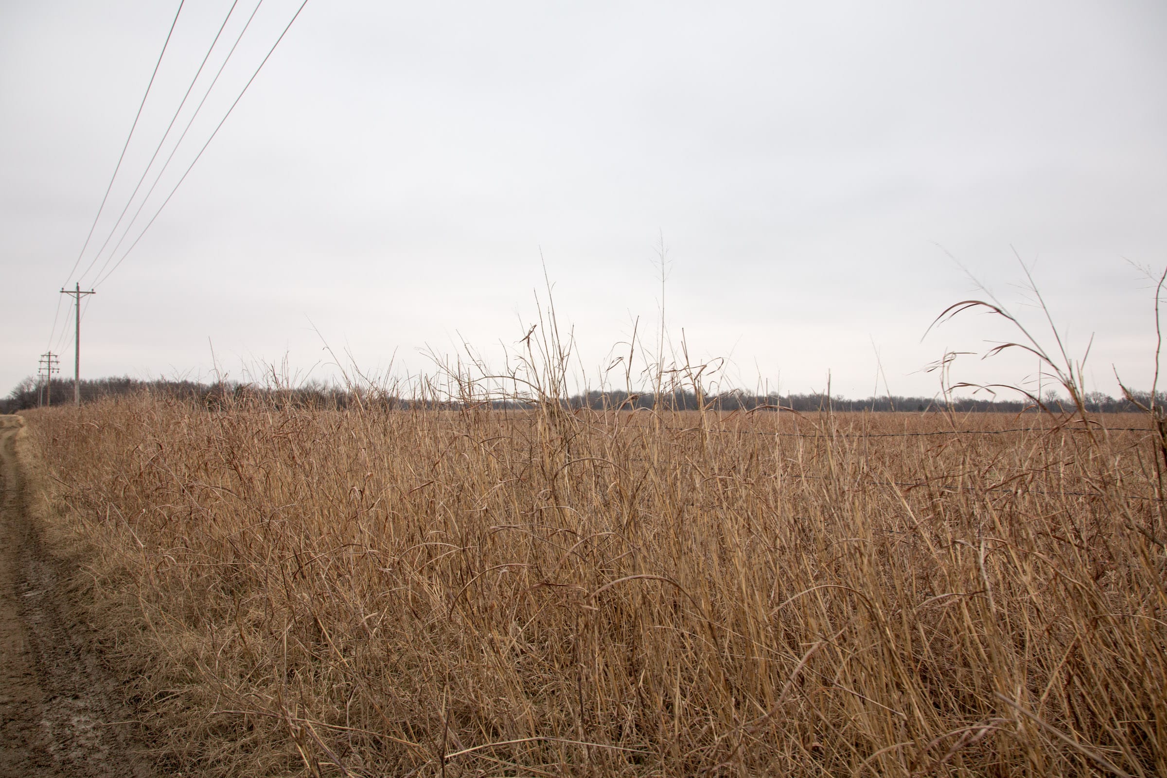 Canadian Plains Tract 36 photo 3