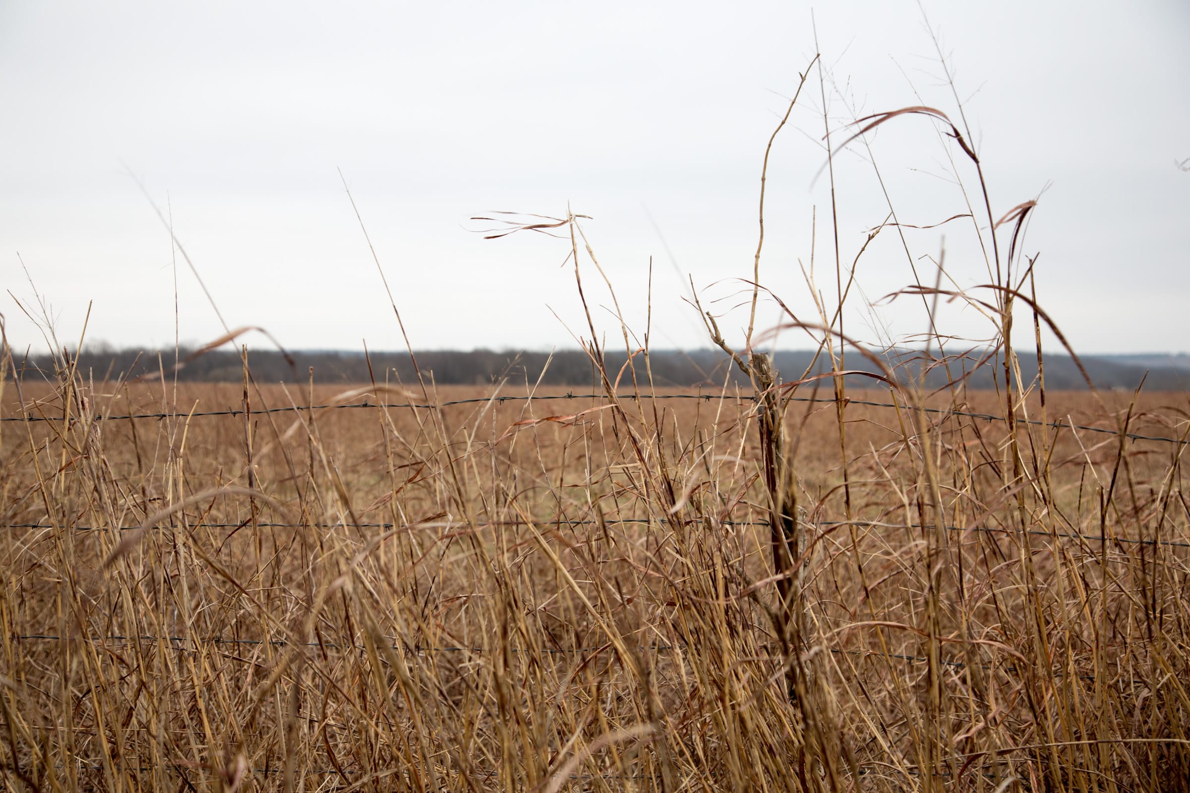 Canadian Plains Tract 36 photo 4