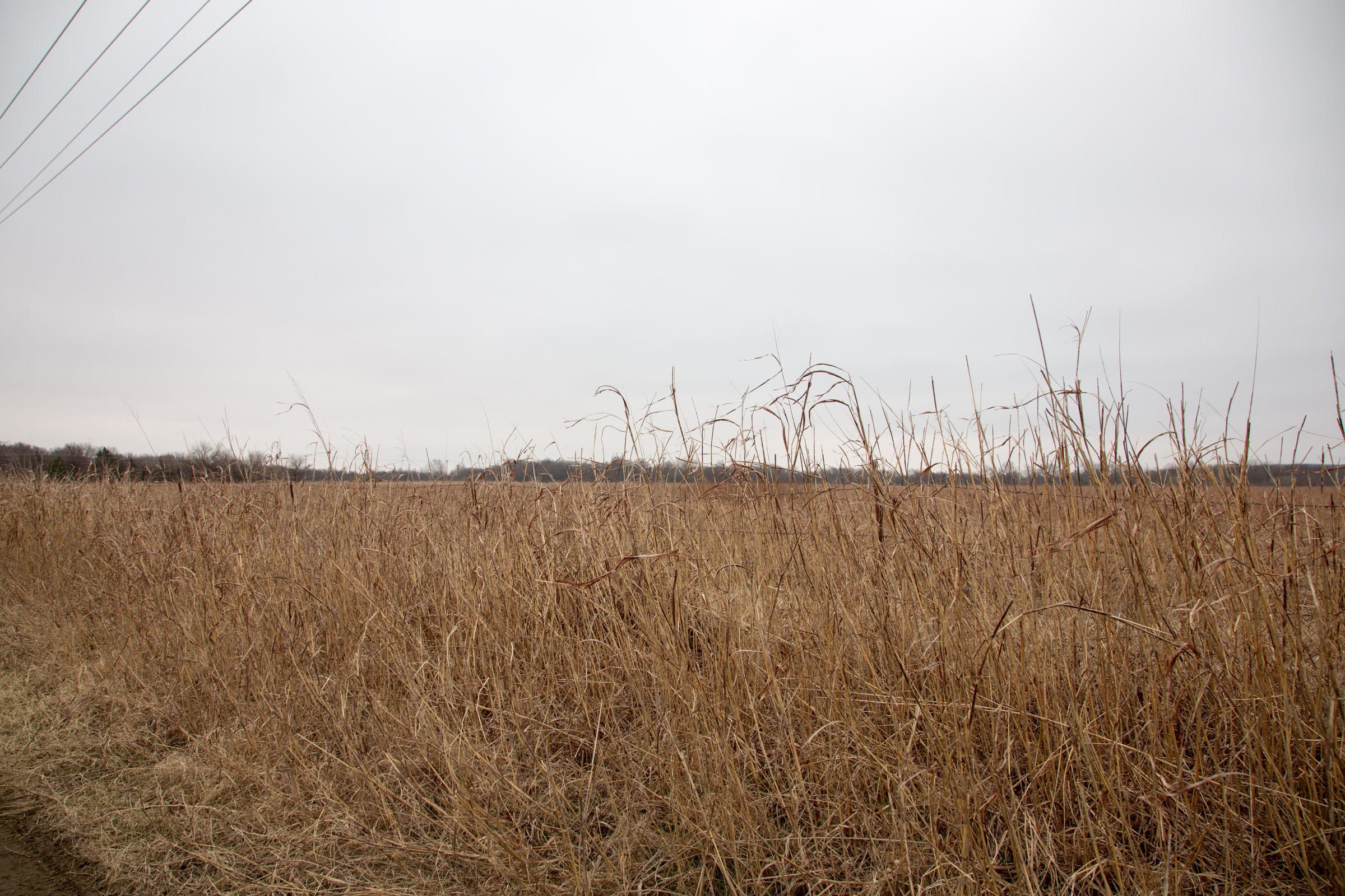 Canadian Plains Tract 36 photo 6
