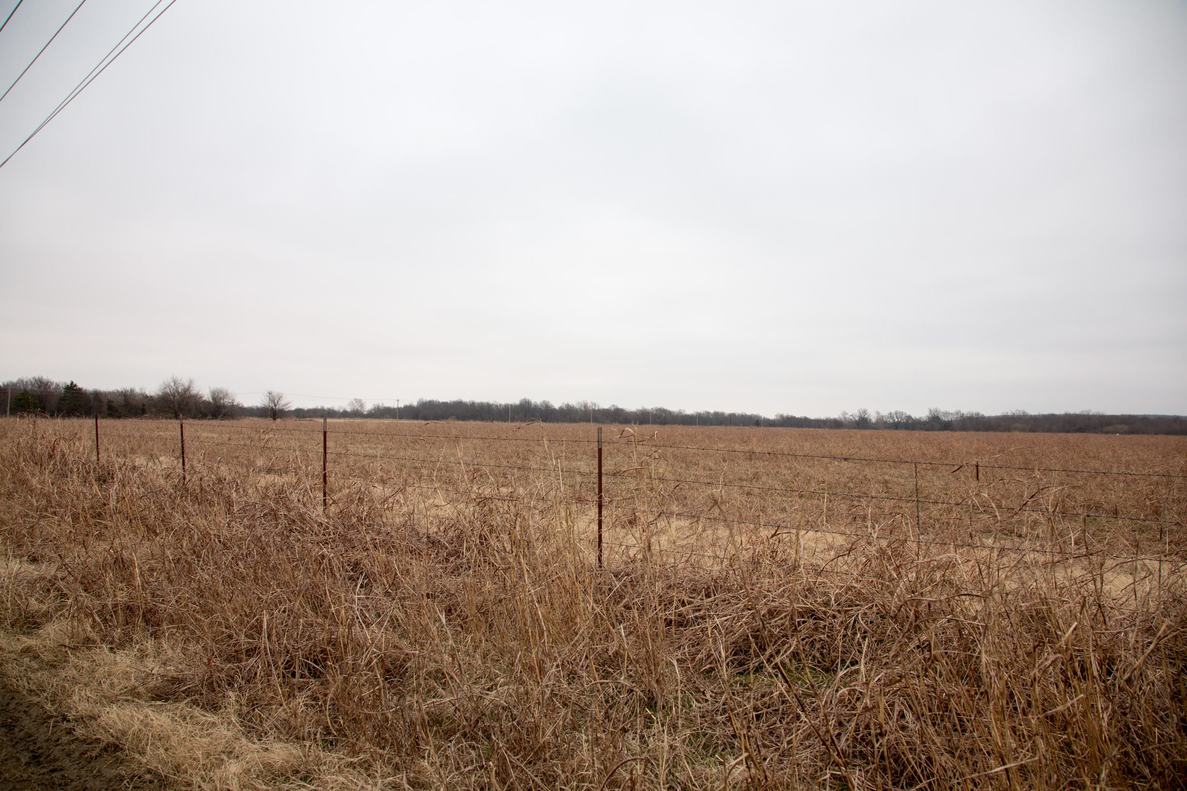 Canadian Plains Tract 36 photo 7