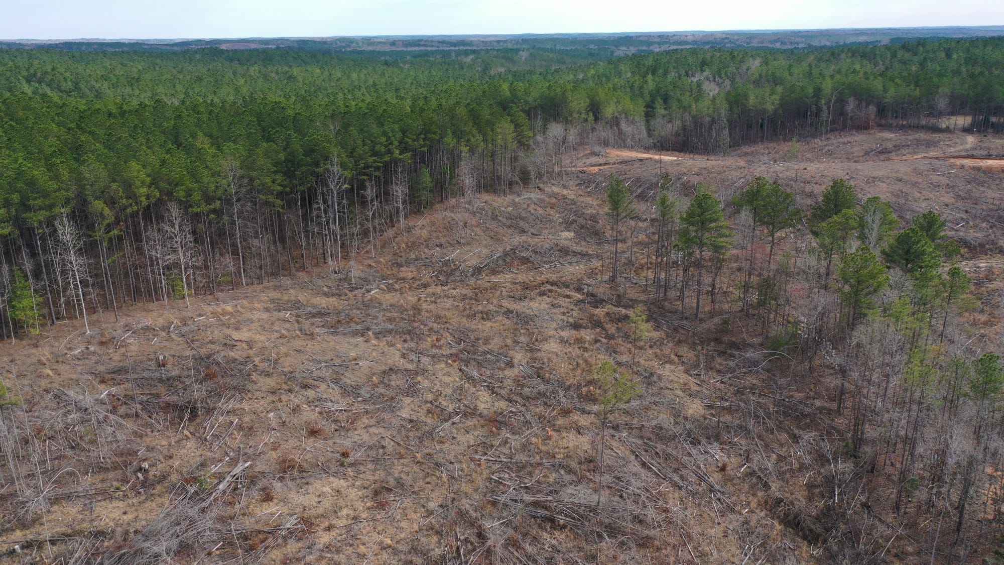 Fairview Hills Tract 12 photo 3