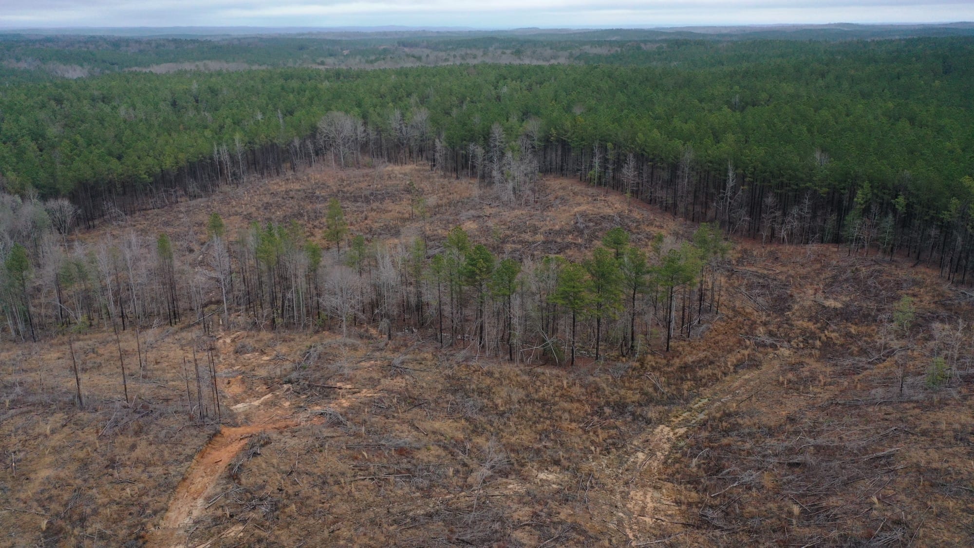 Fairview Hills Tract 12 photo 4