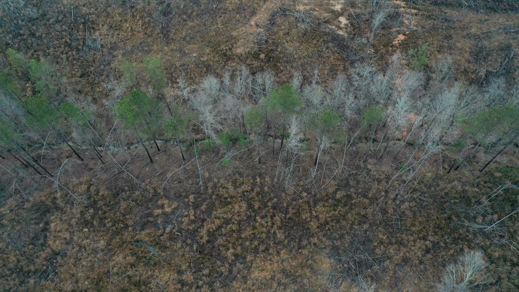 Fairview Hills Tract 12 photo 5