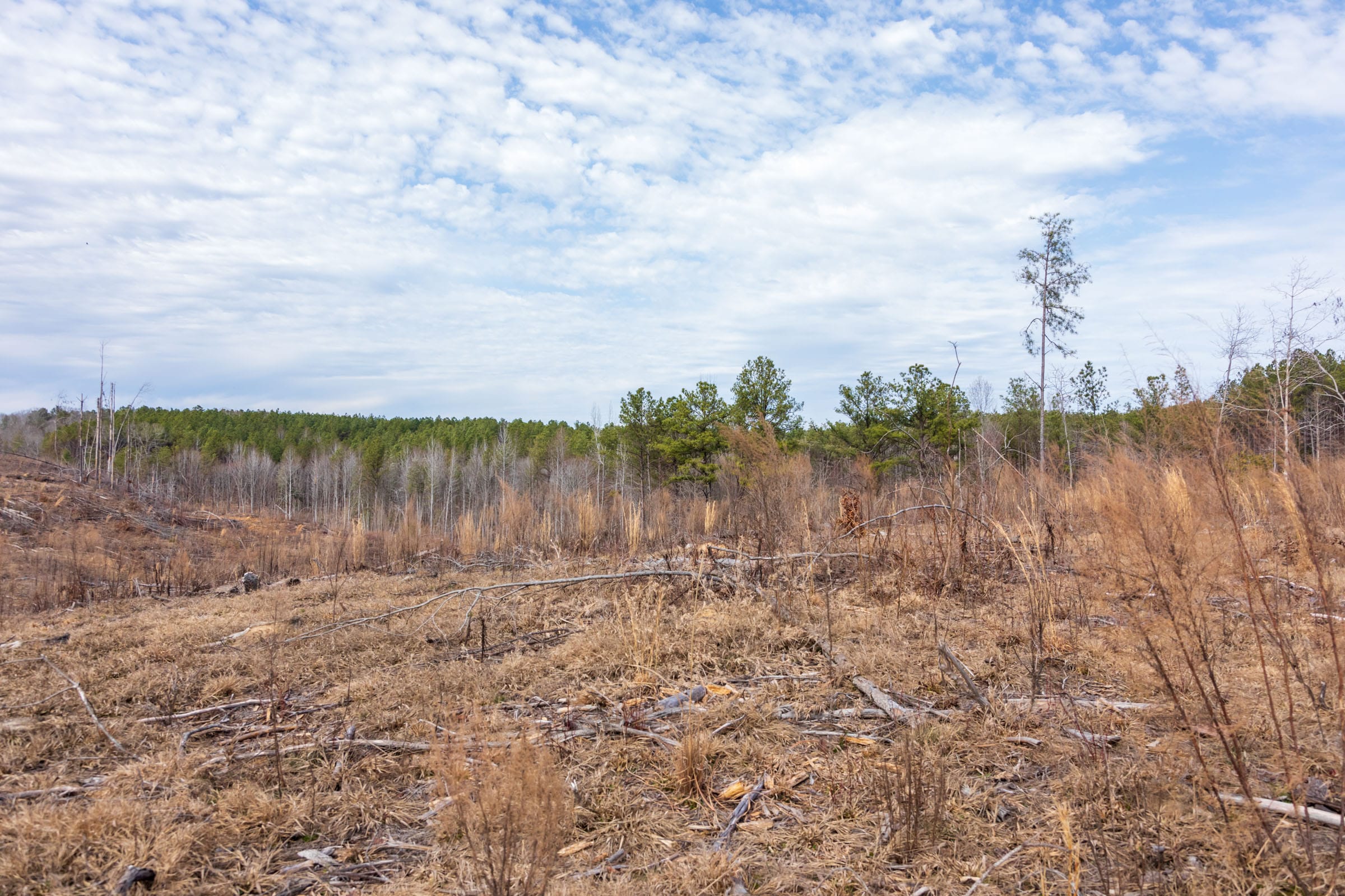 Fairview Hills Tract 12 photo 8