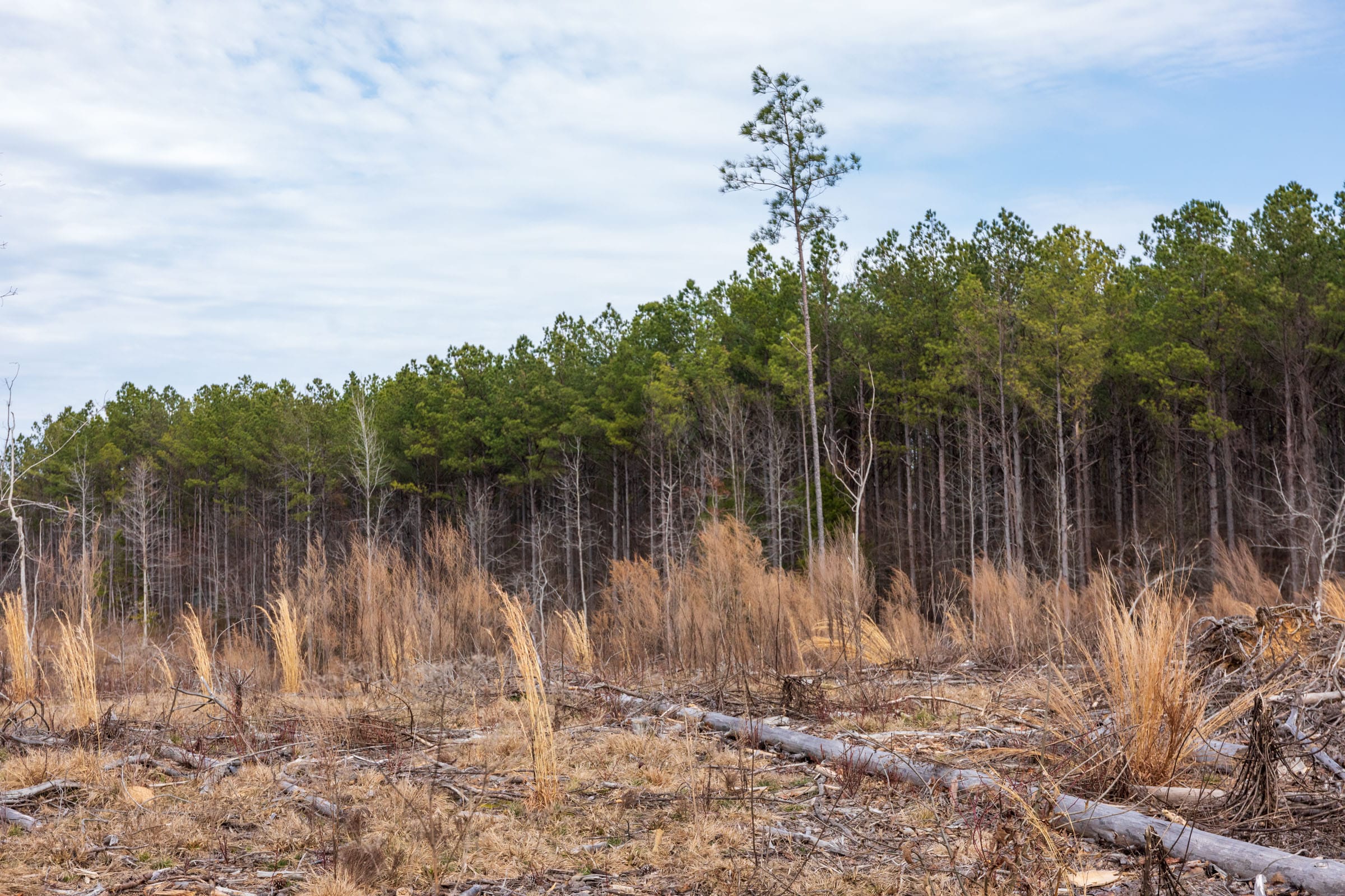 Fairview Hills Tract 12 photo 9