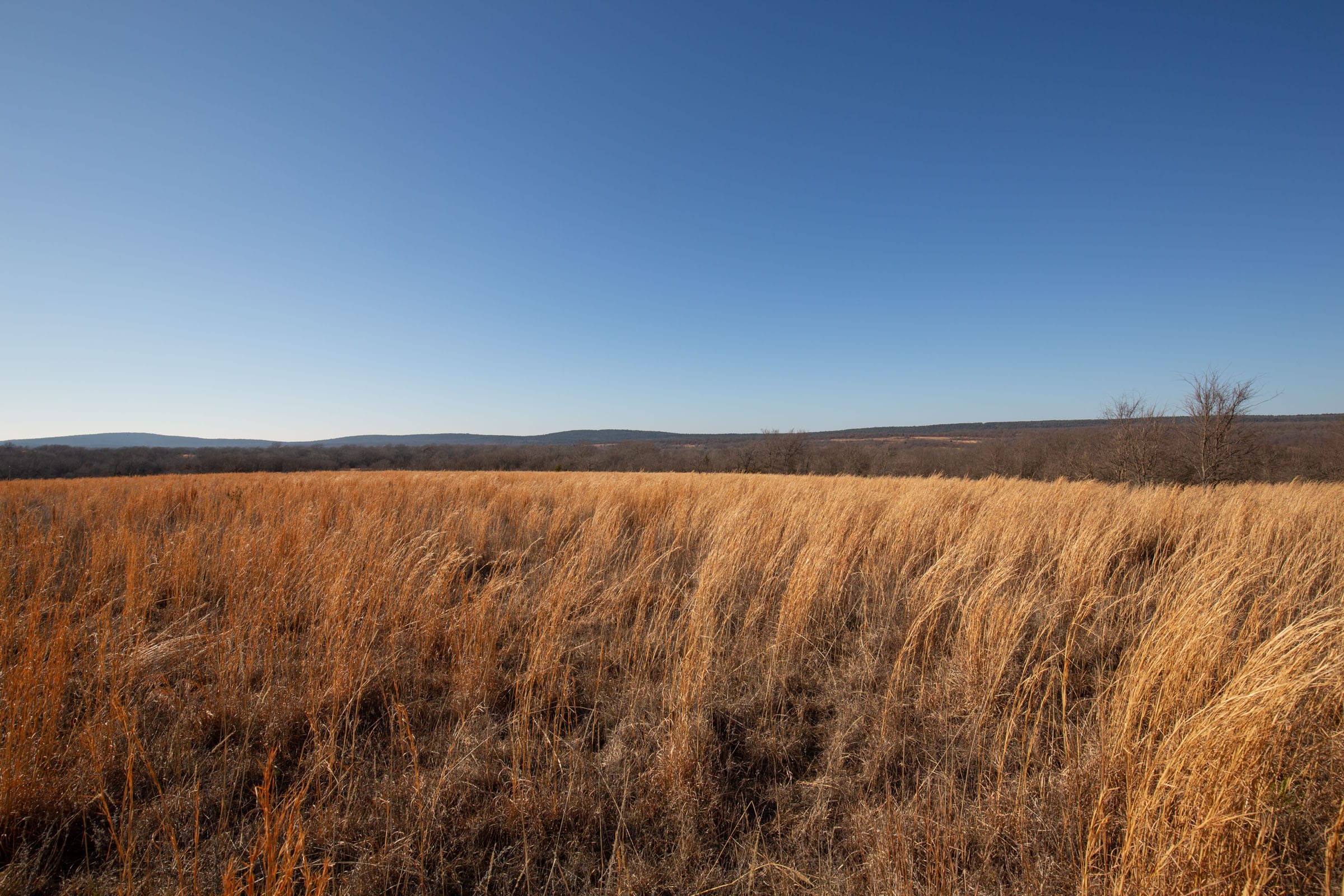 Painted Horse Tract 51 photo 3