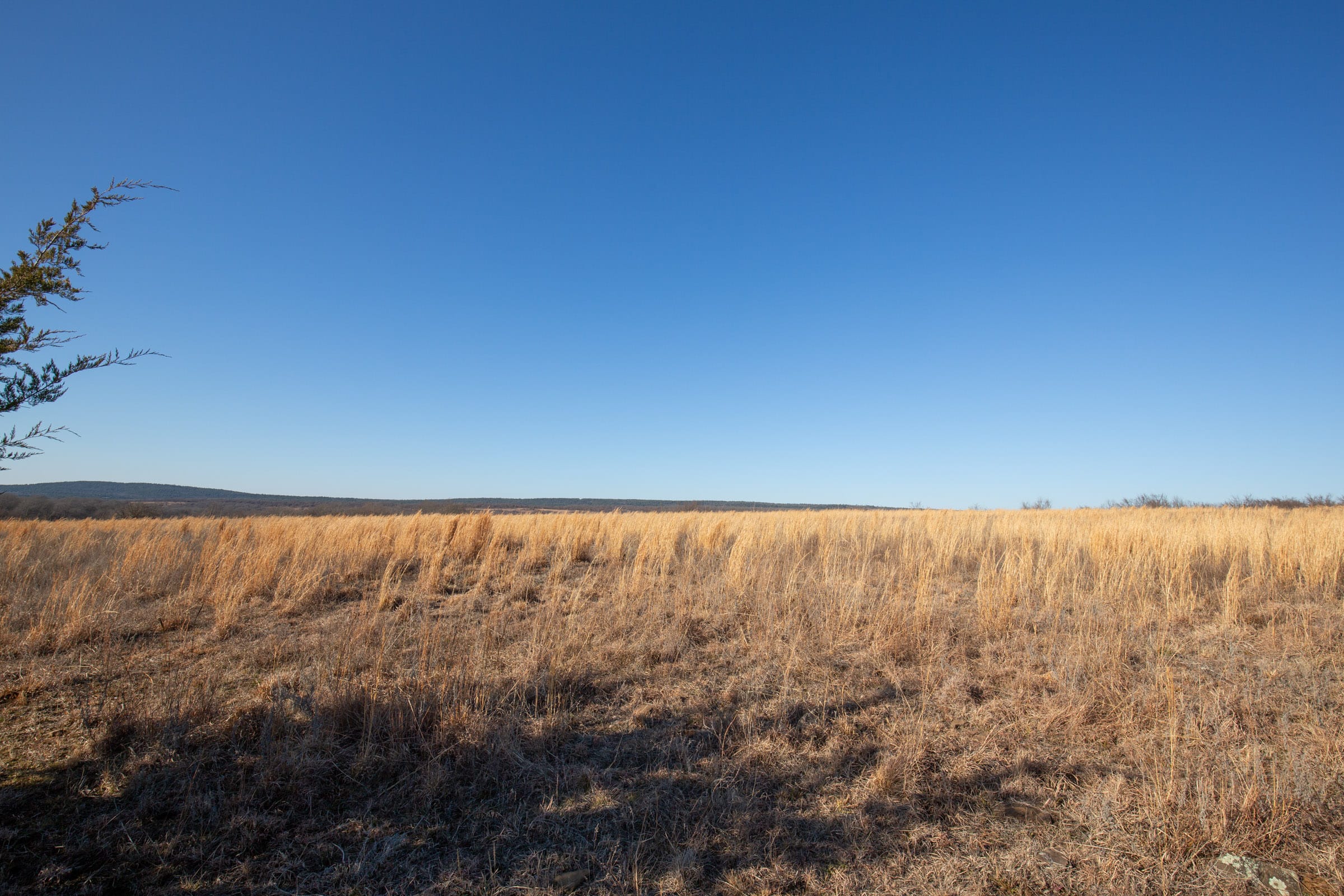 Painted Horse Tract 51 photo 5