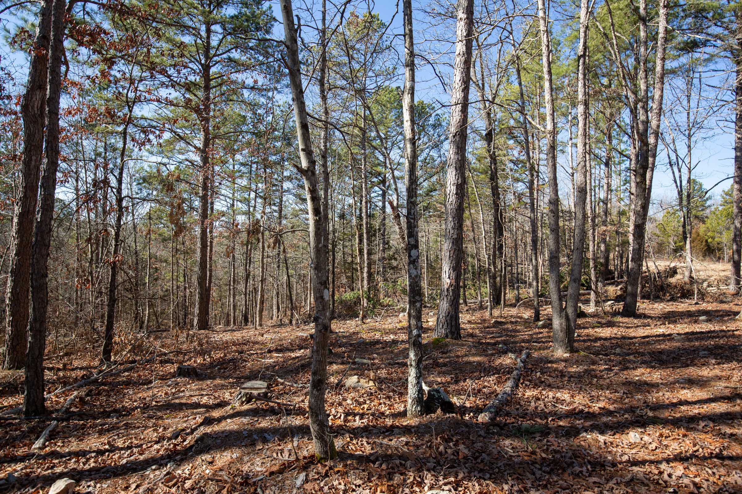 O’Connor Crossing Tract 10 photo 3