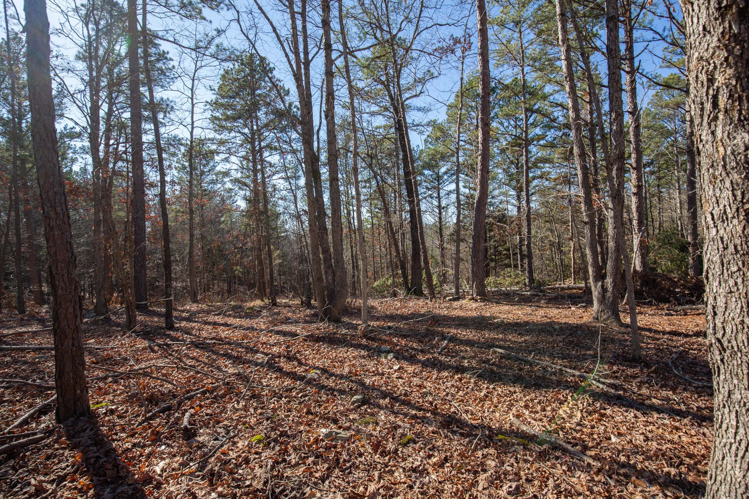 O’Connor Crossing Tract 10 photo 5