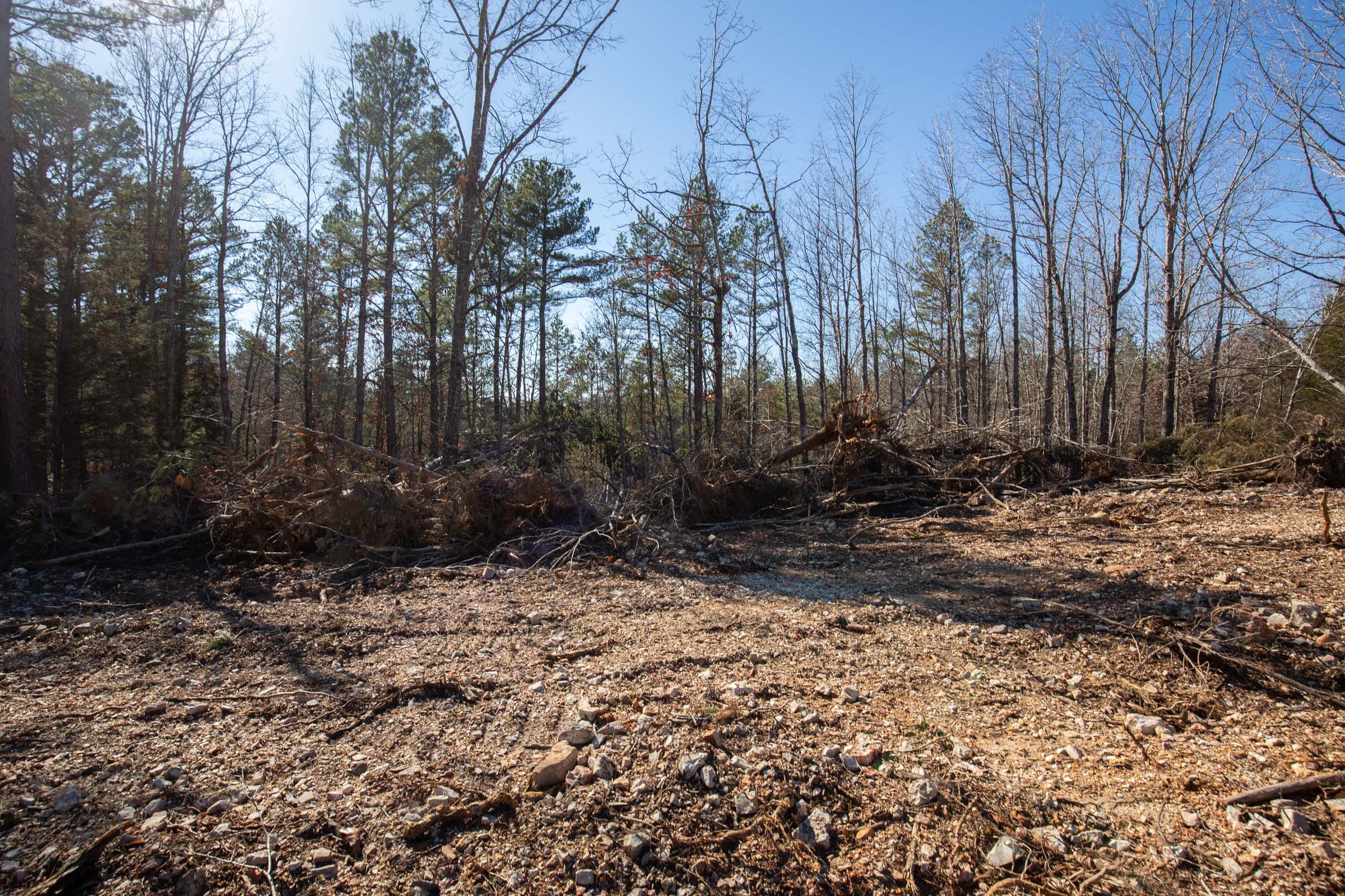 O’Connor Crossing Tract 10 photo 7