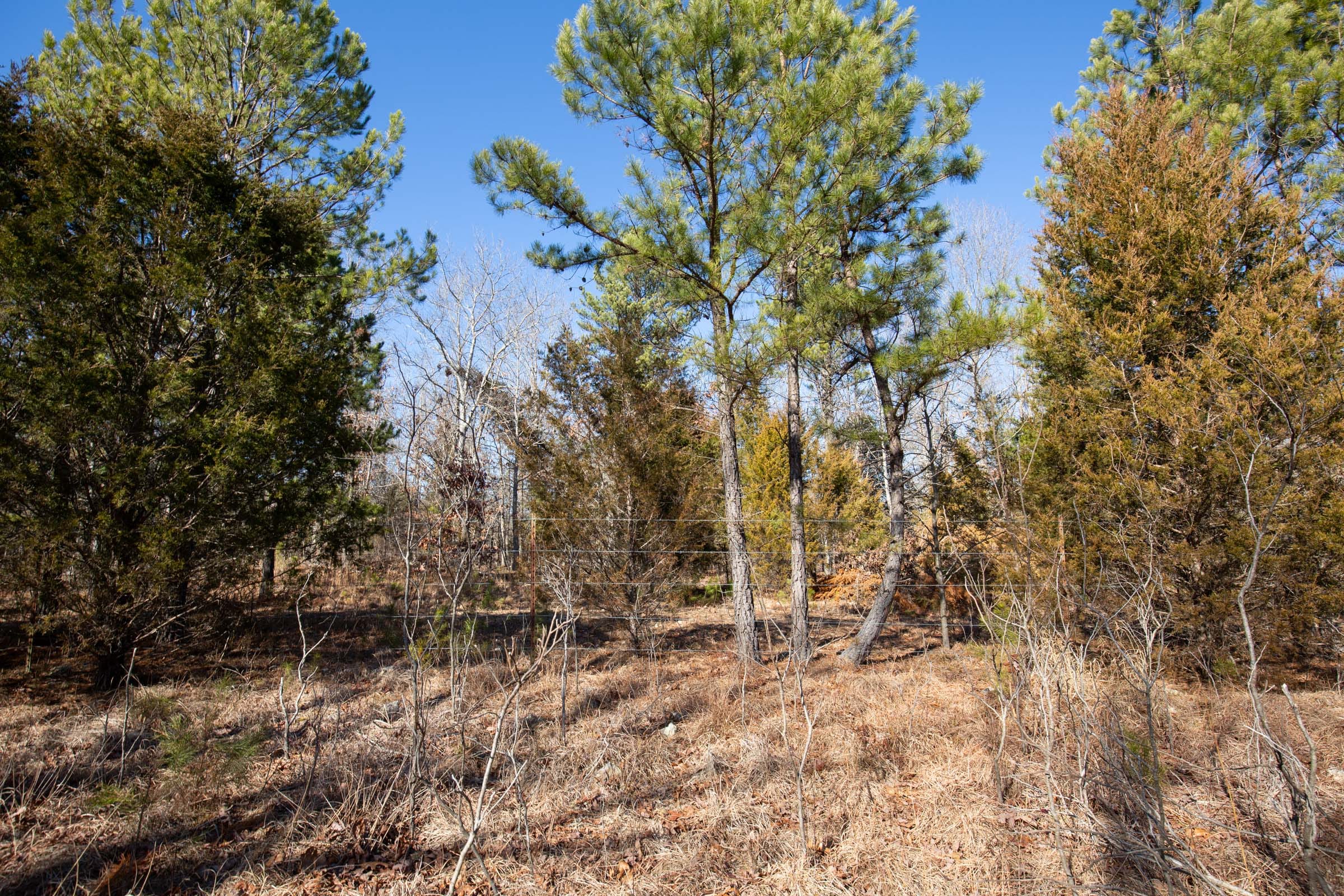 O’Connor Crossing Tract 10 photo 6