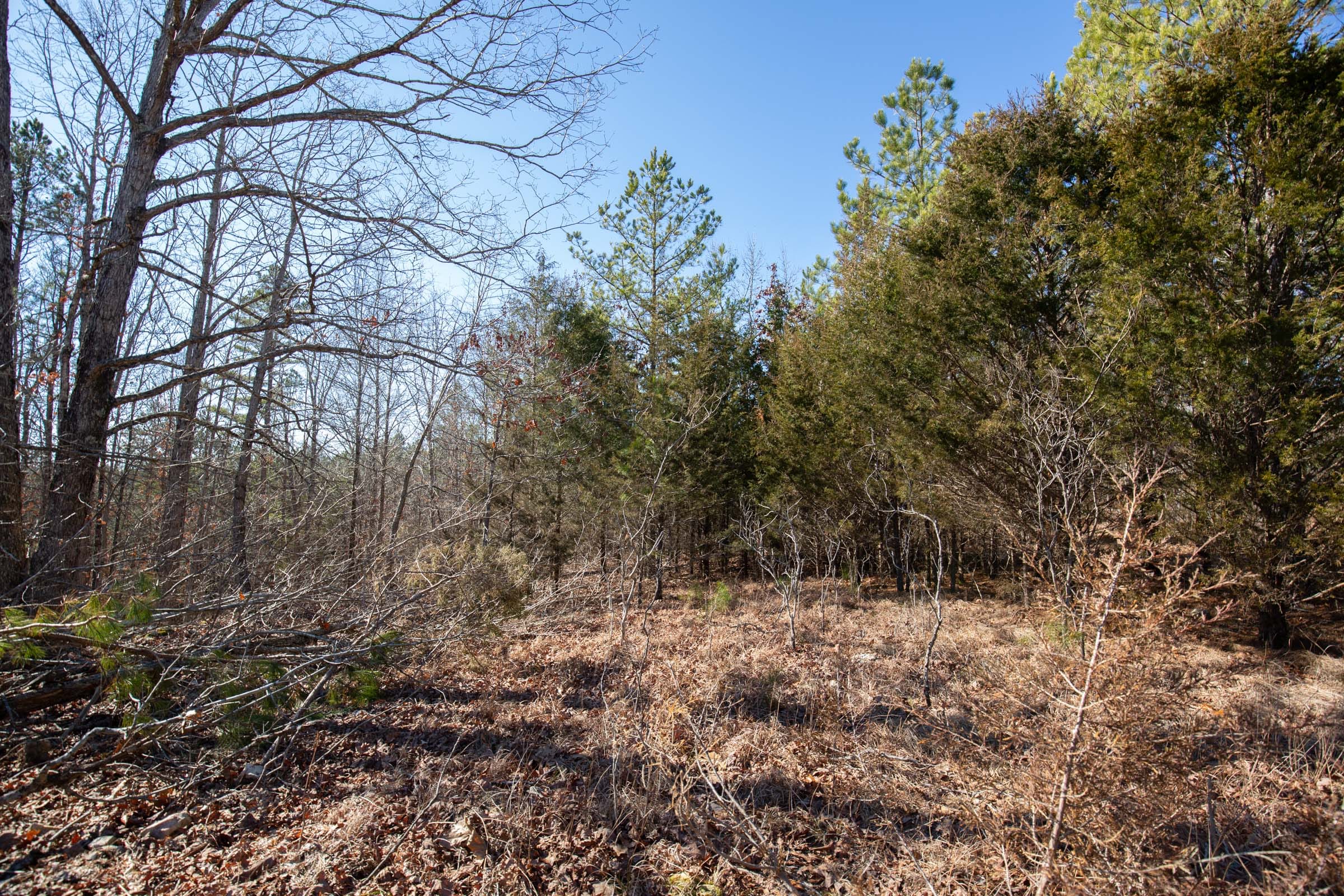 O’Connor Crossing Tract 10 photo 8