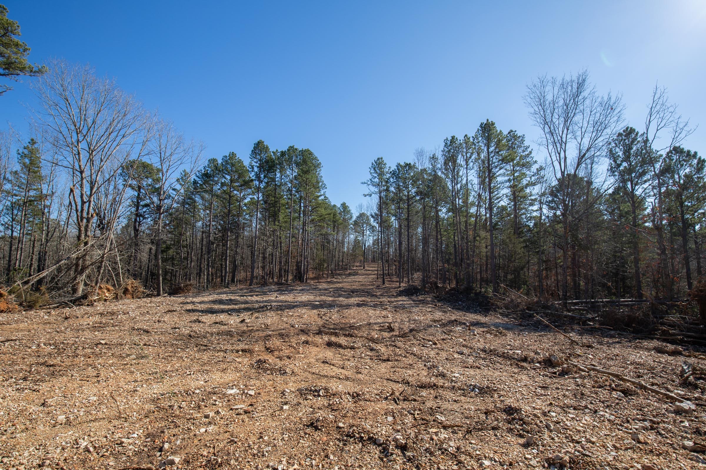 O’Connor Crossing Tract 10 photo 9