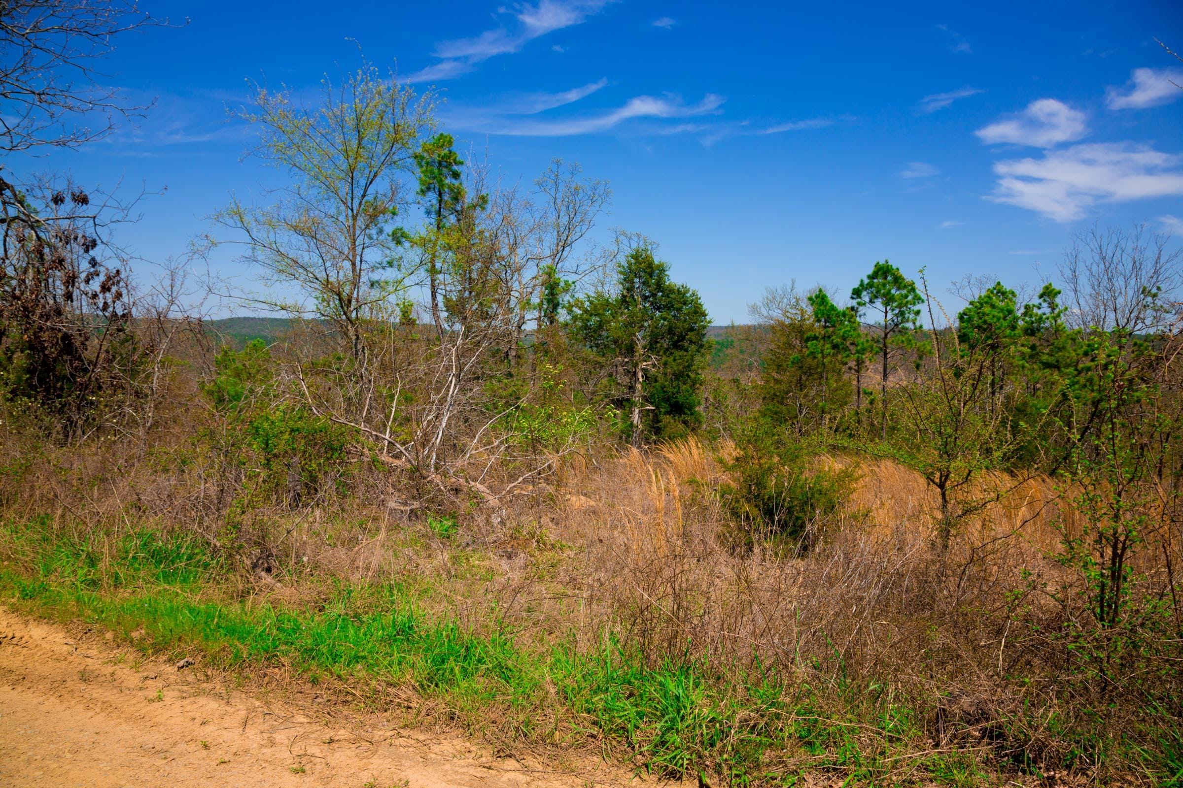 Stone Creek Phase II Tract 234 photo 2