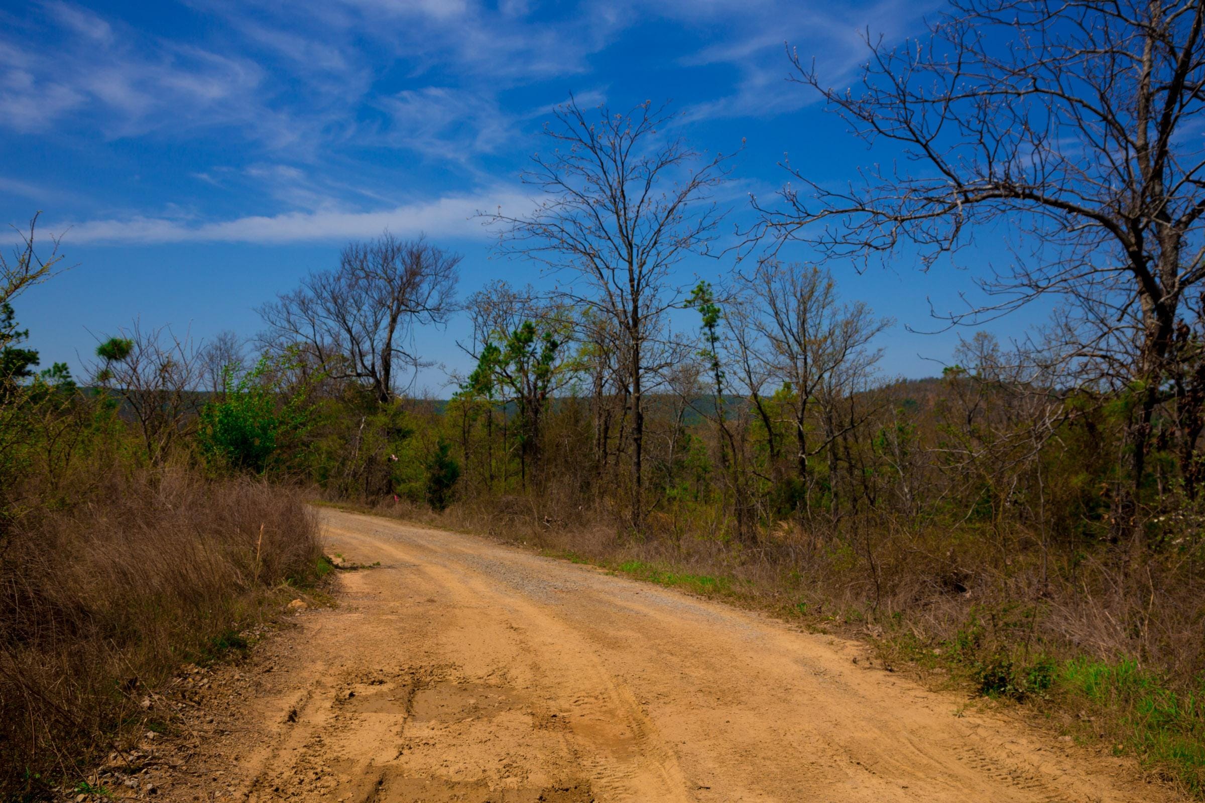 Stone Creek Phase II Tract 234 photo 6