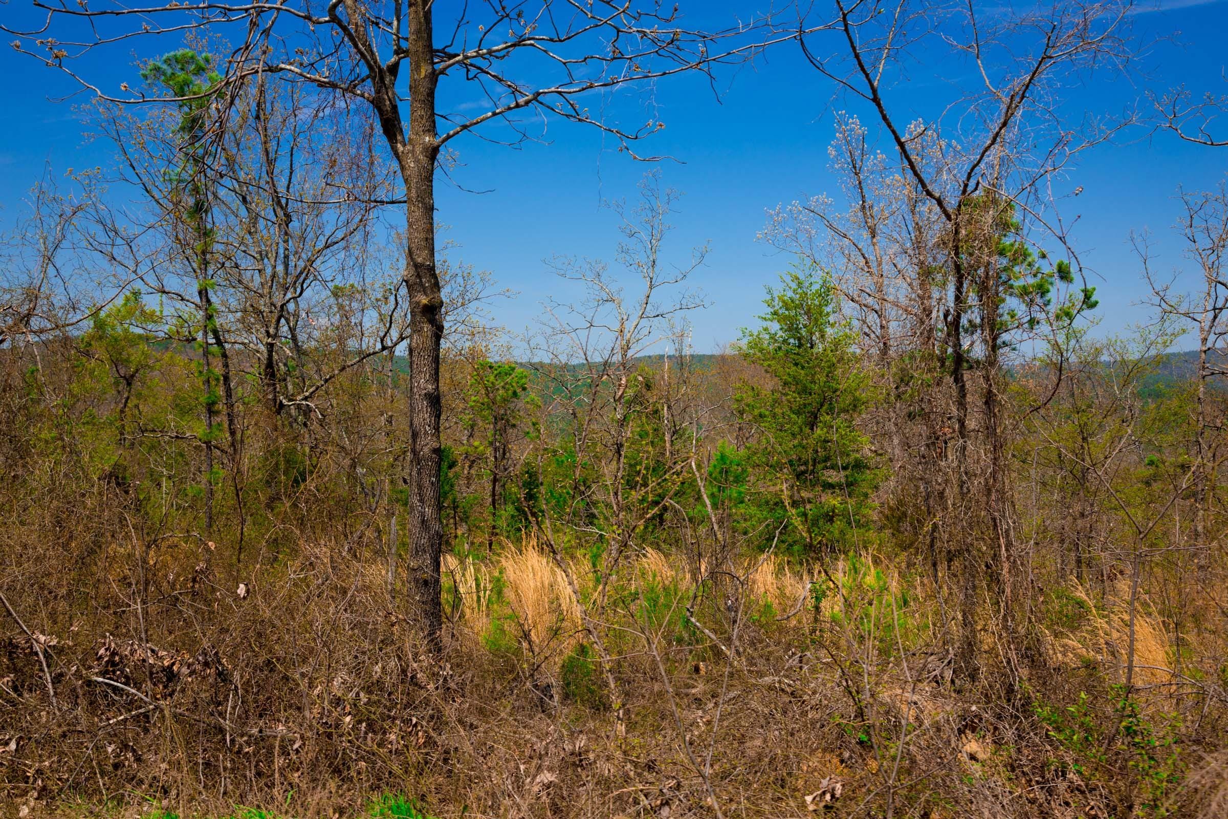 Stone Creek Phase II Tract 234 photo 3